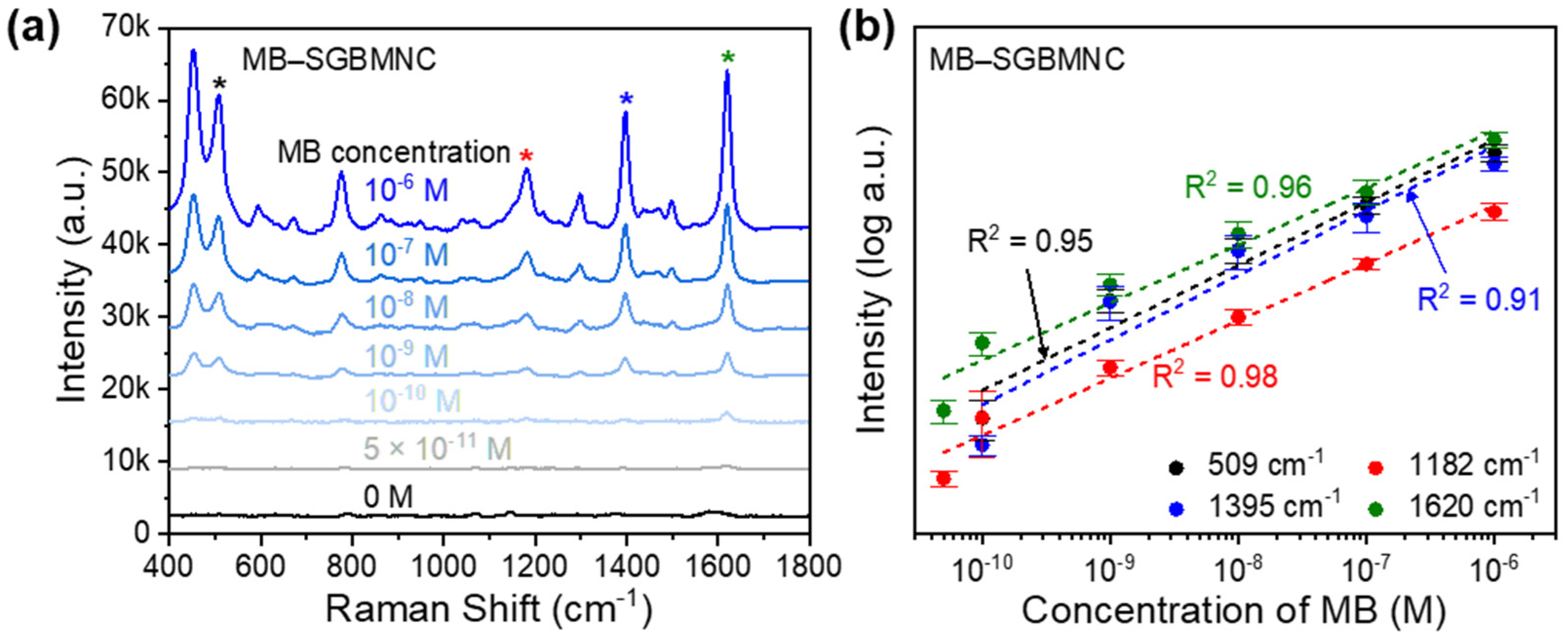 Ijms 23 11741 g006 Ijms 23 11741 g006