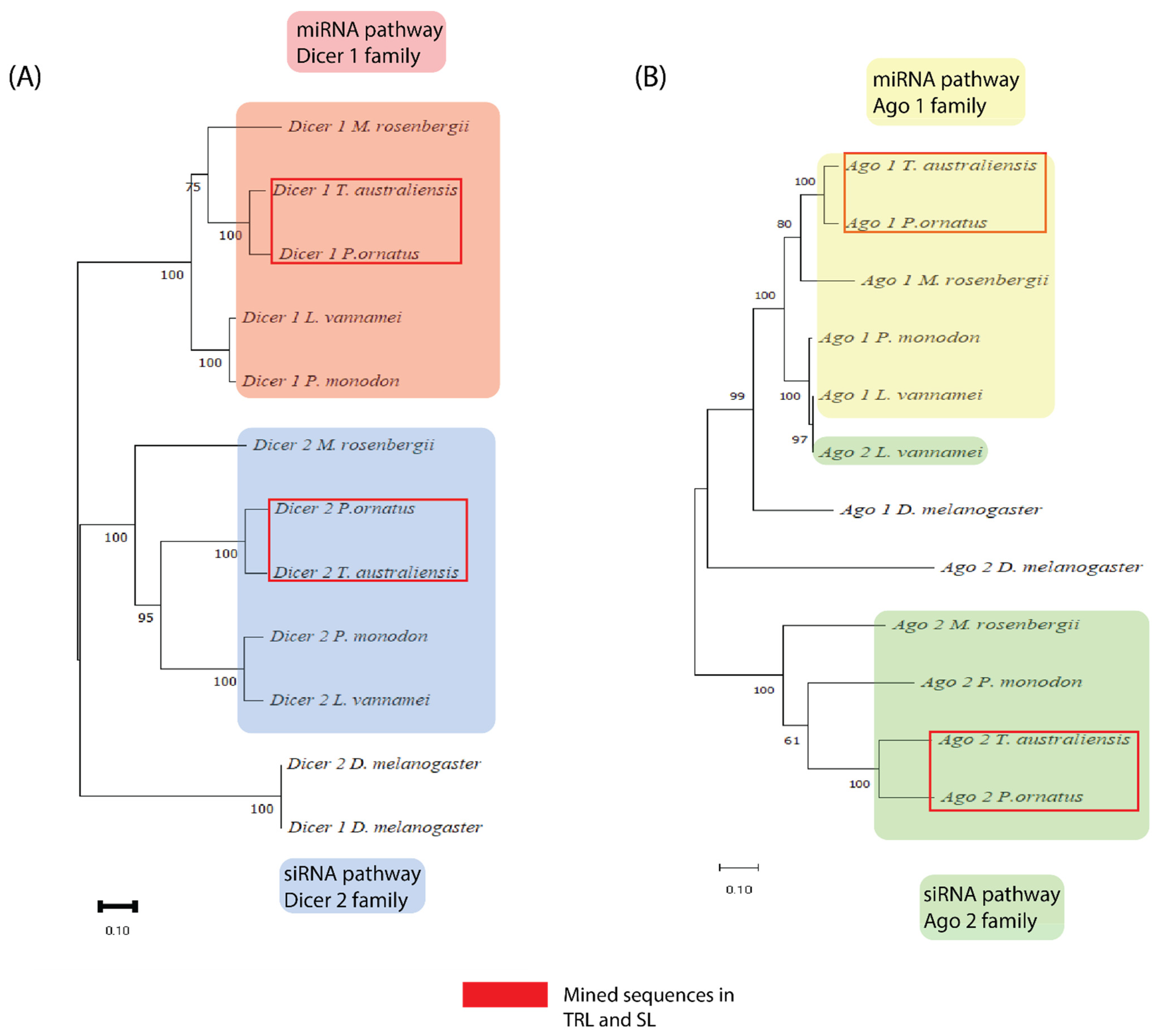 Ijms 23 11752 g001 Ijms 23 11752 g001