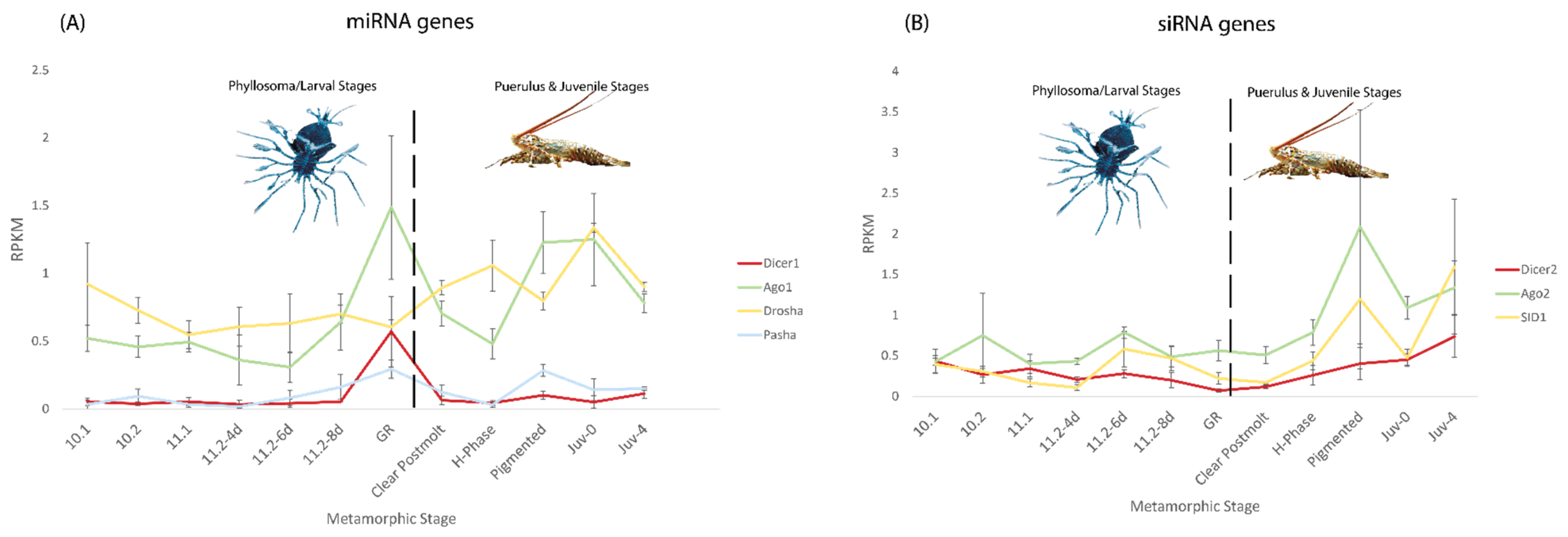 Ijms 23 11752 g003 Ijms 23 11752 g003