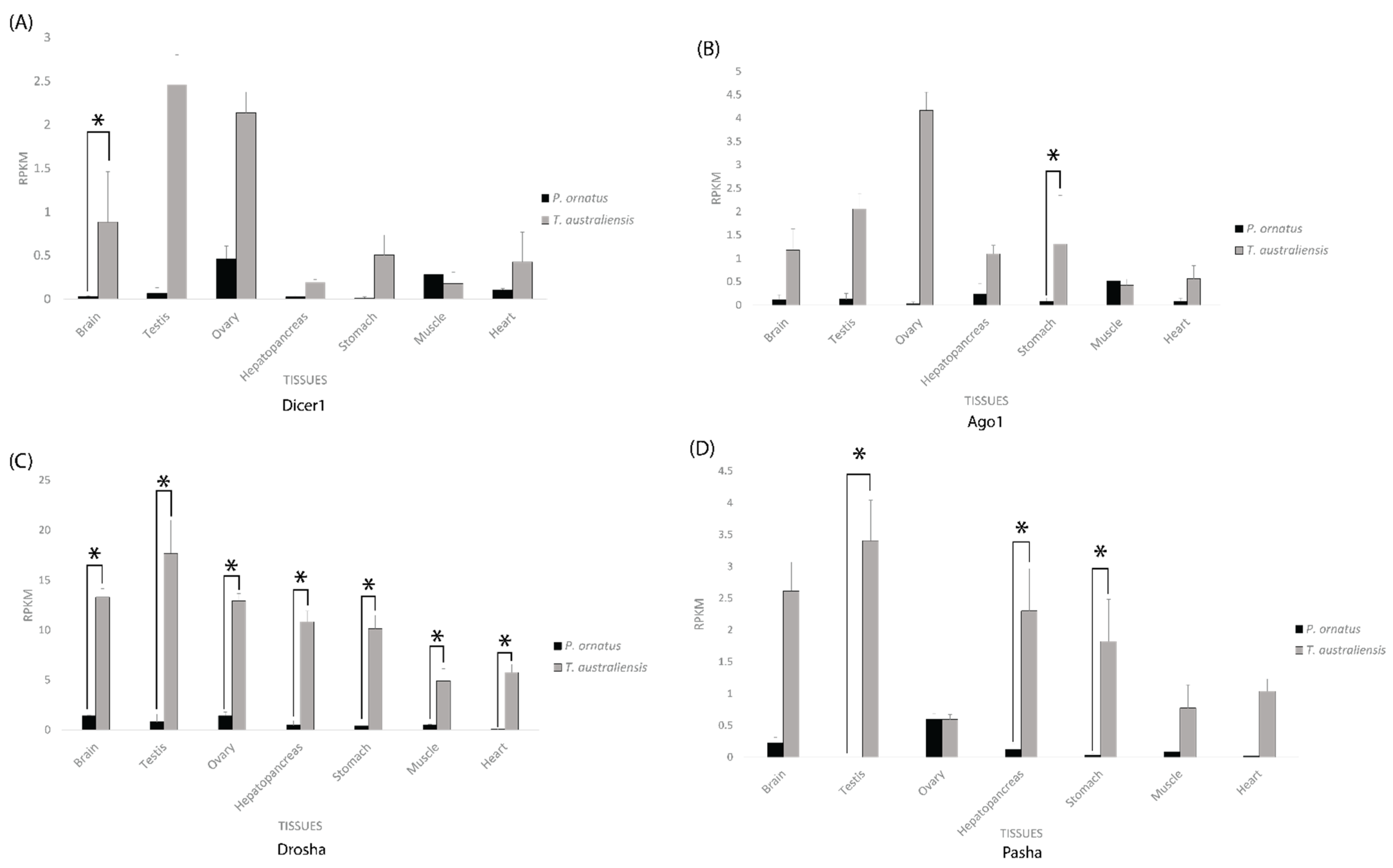 Ijms 23 11752 g004 Ijms 23 11752 g004