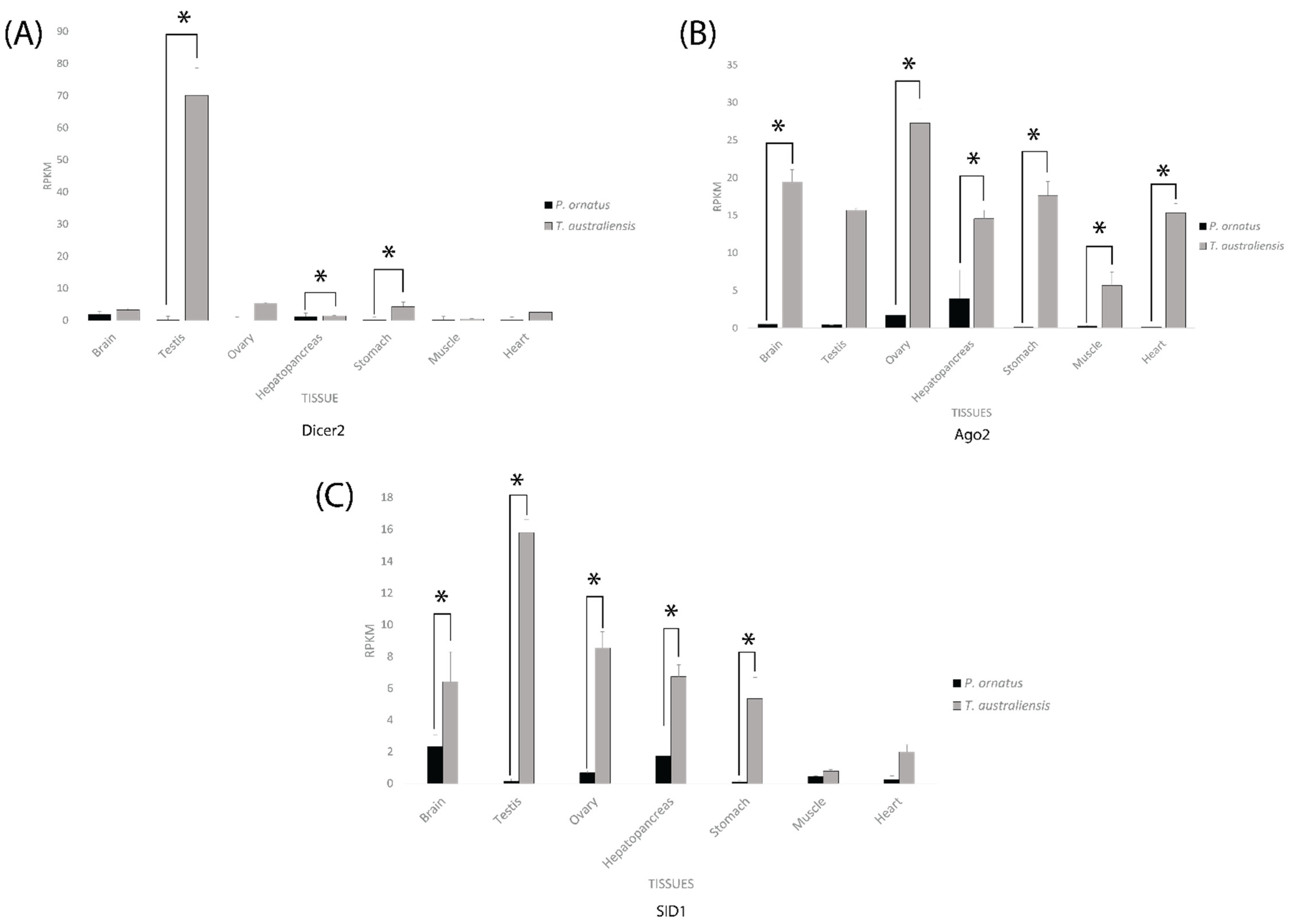 Ijms 23 11752 g005 Ijms 23 11752 g005