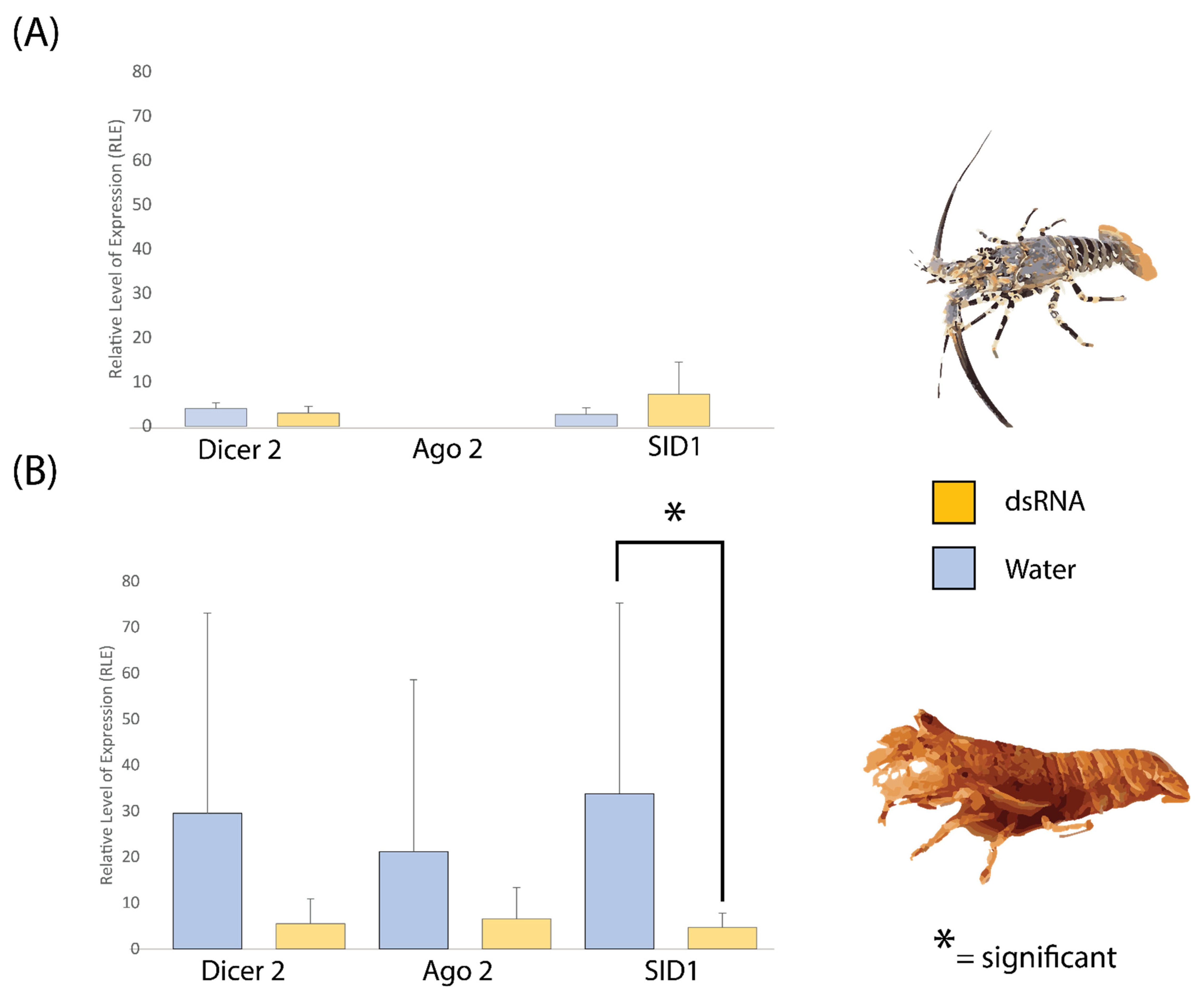 Ijms 23 11752 g006 Ijms 23 11752 g006