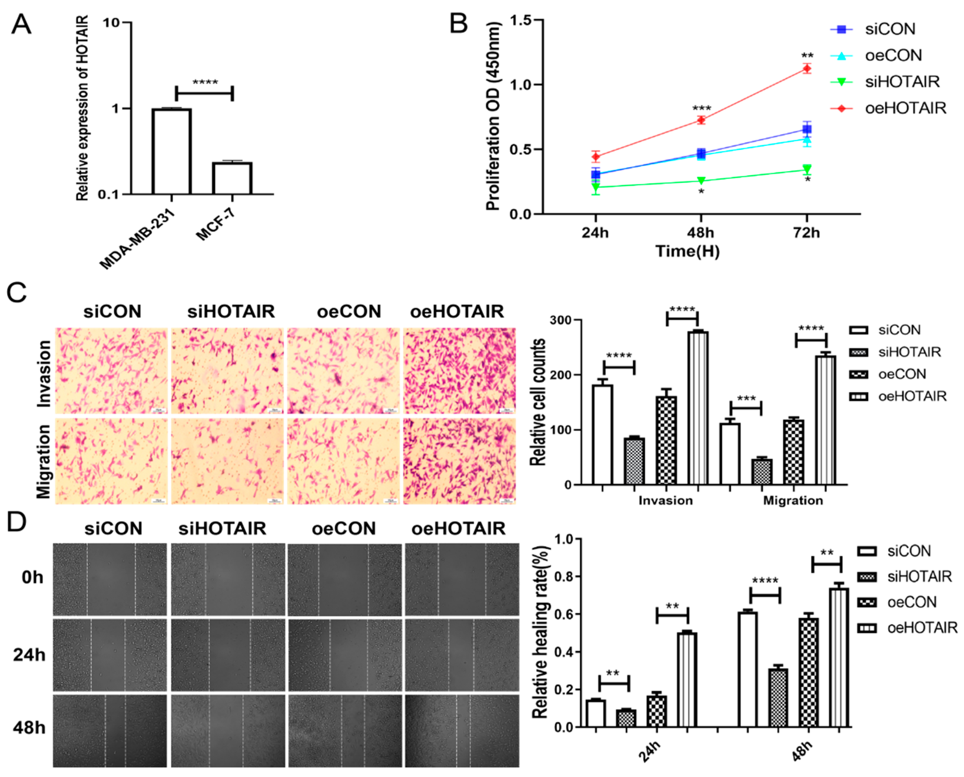 Ijms 23 11755 g002 Ijms 23 11755 g002