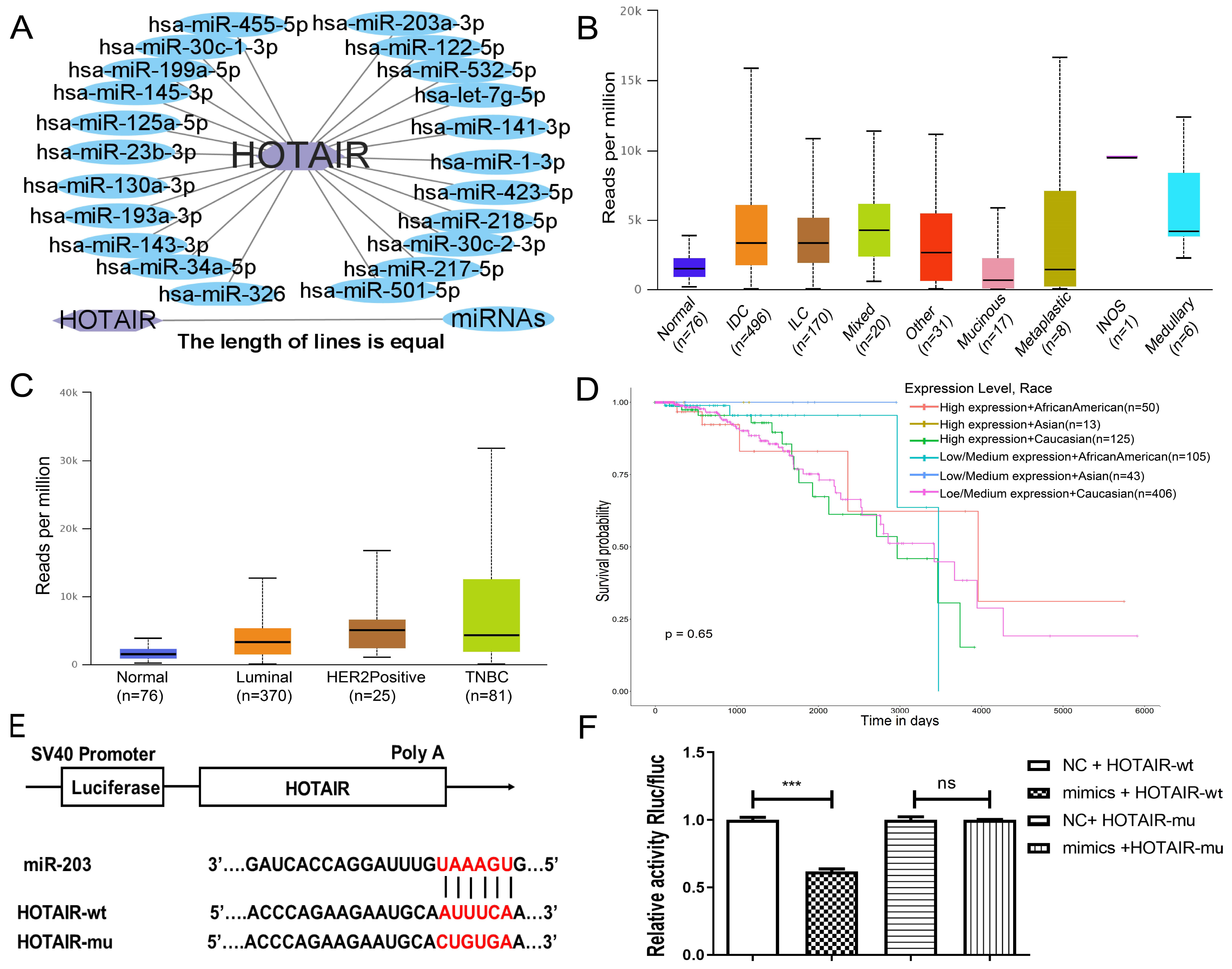 Ijms 23 11755 g003 Ijms 23 11755 g003