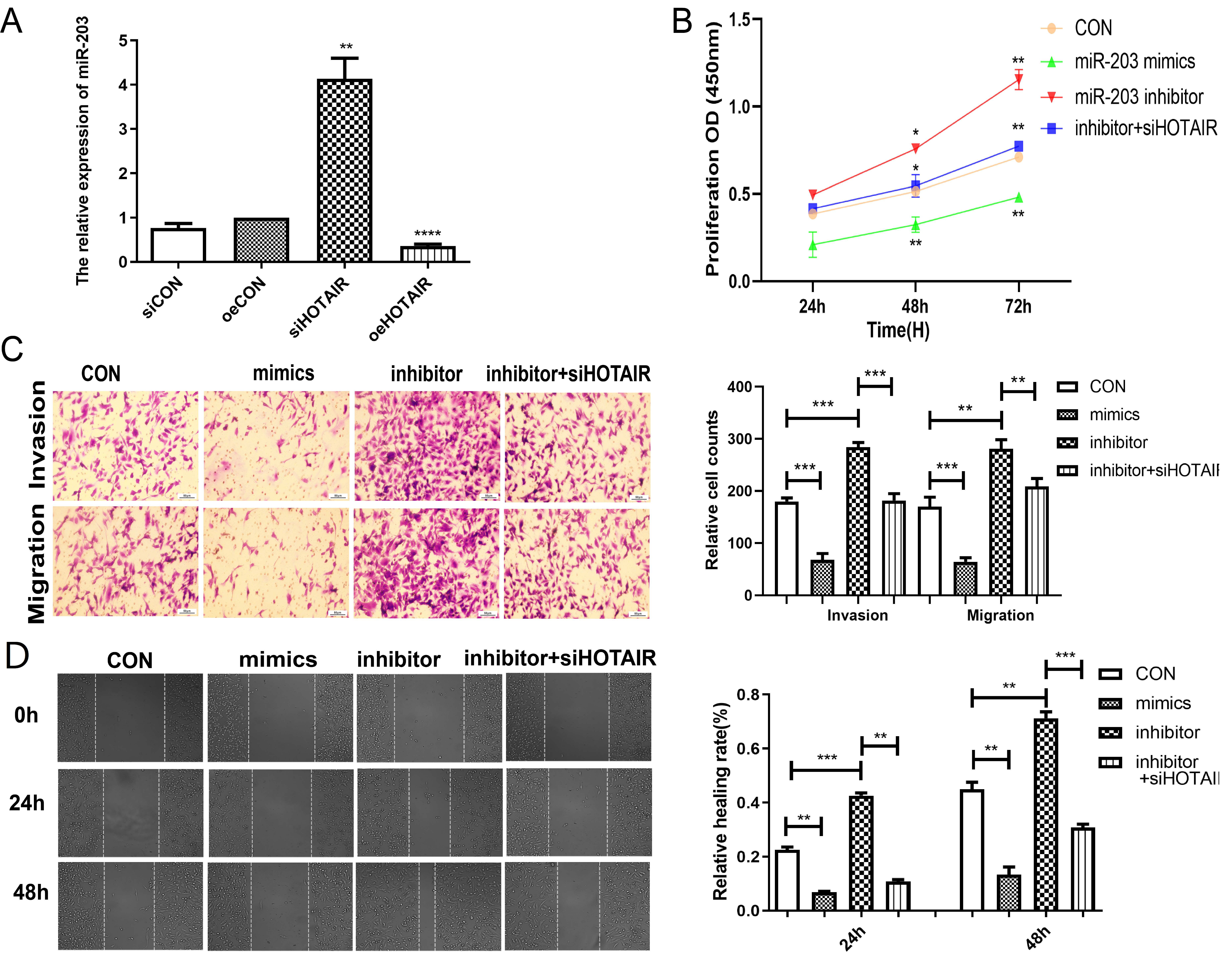 Ijms 23 11755 g004 Ijms 23 11755 g004