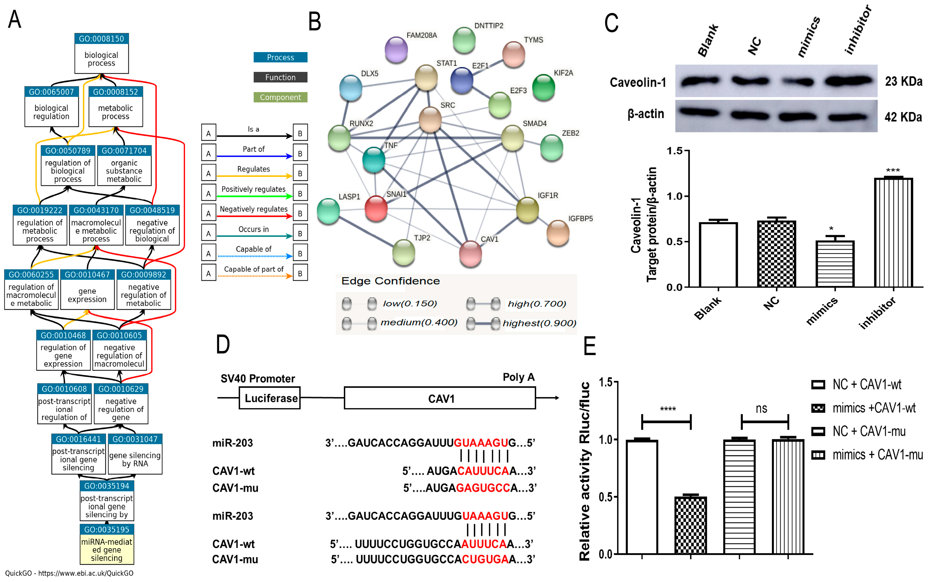 Ijms 23 11755 g005 Ijms 23 11755 g005