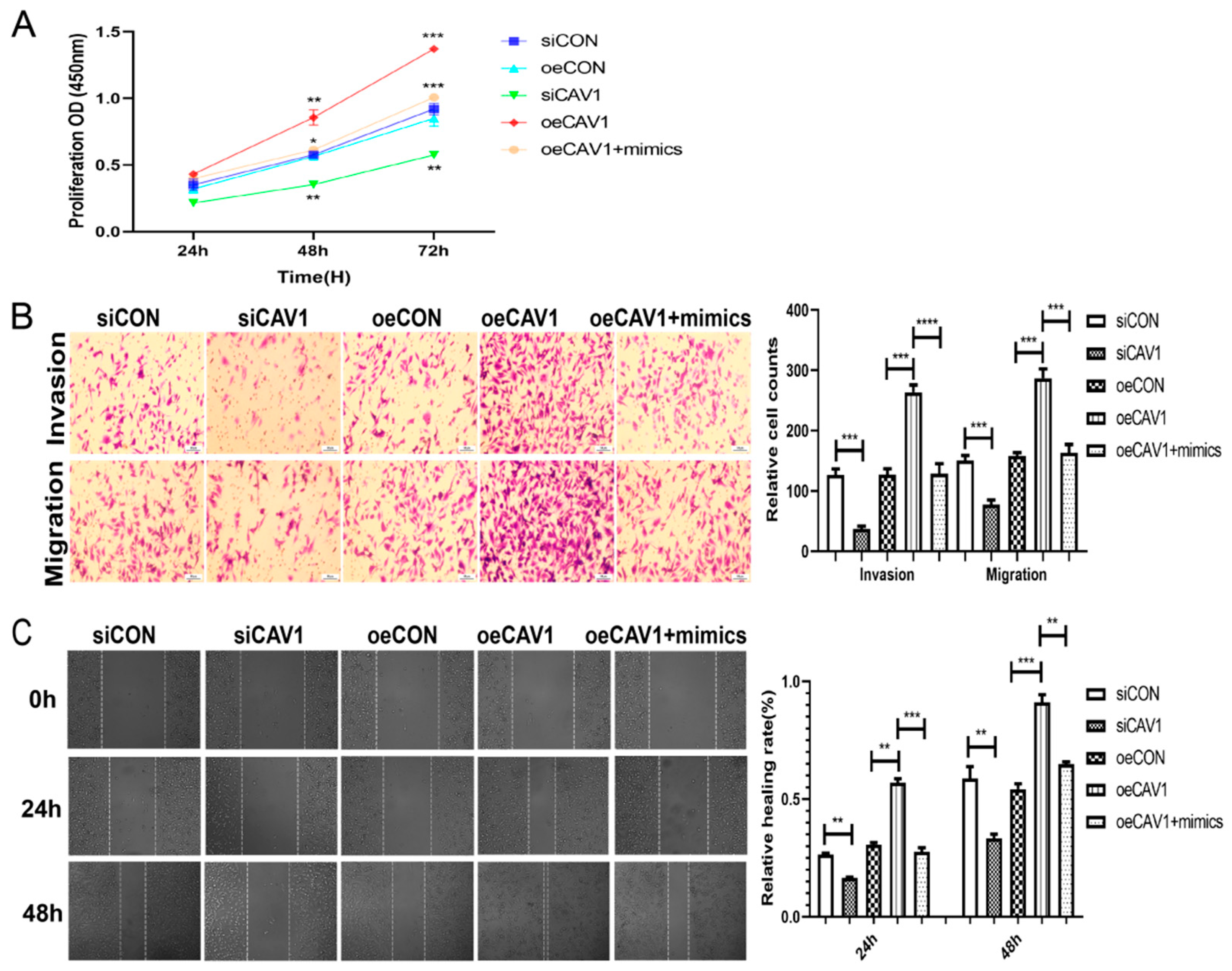 Ijms 23 11755 g006 Ijms 23 11755 g006