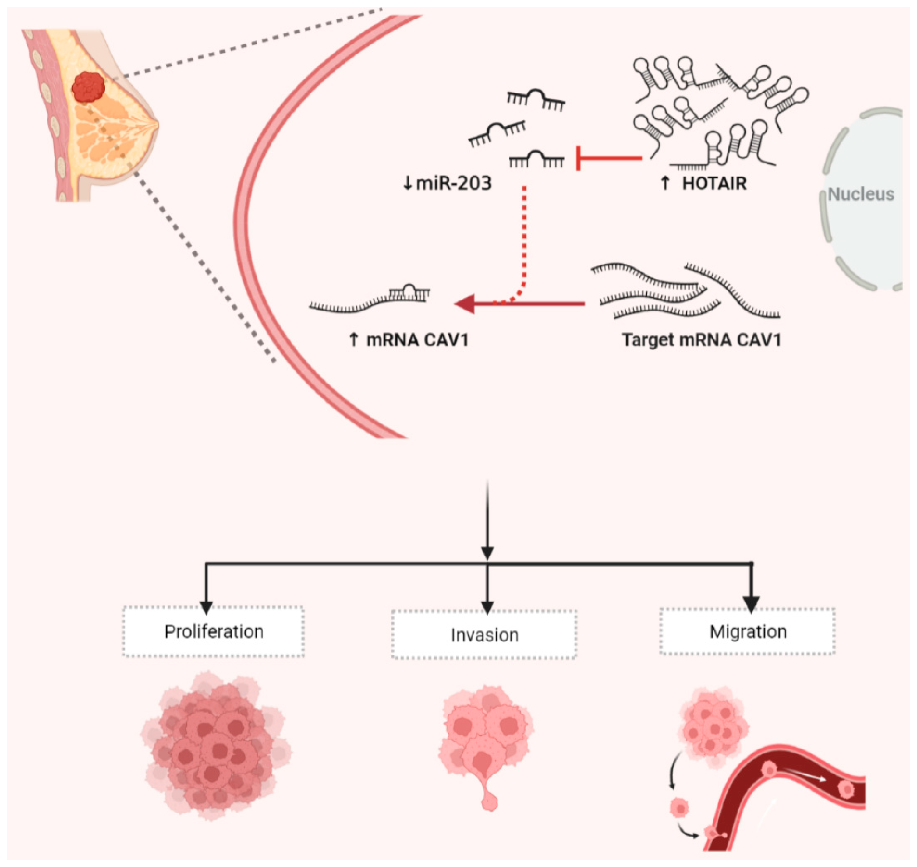 Ijms 23 11755 g007 Ijms 23 11755 g007