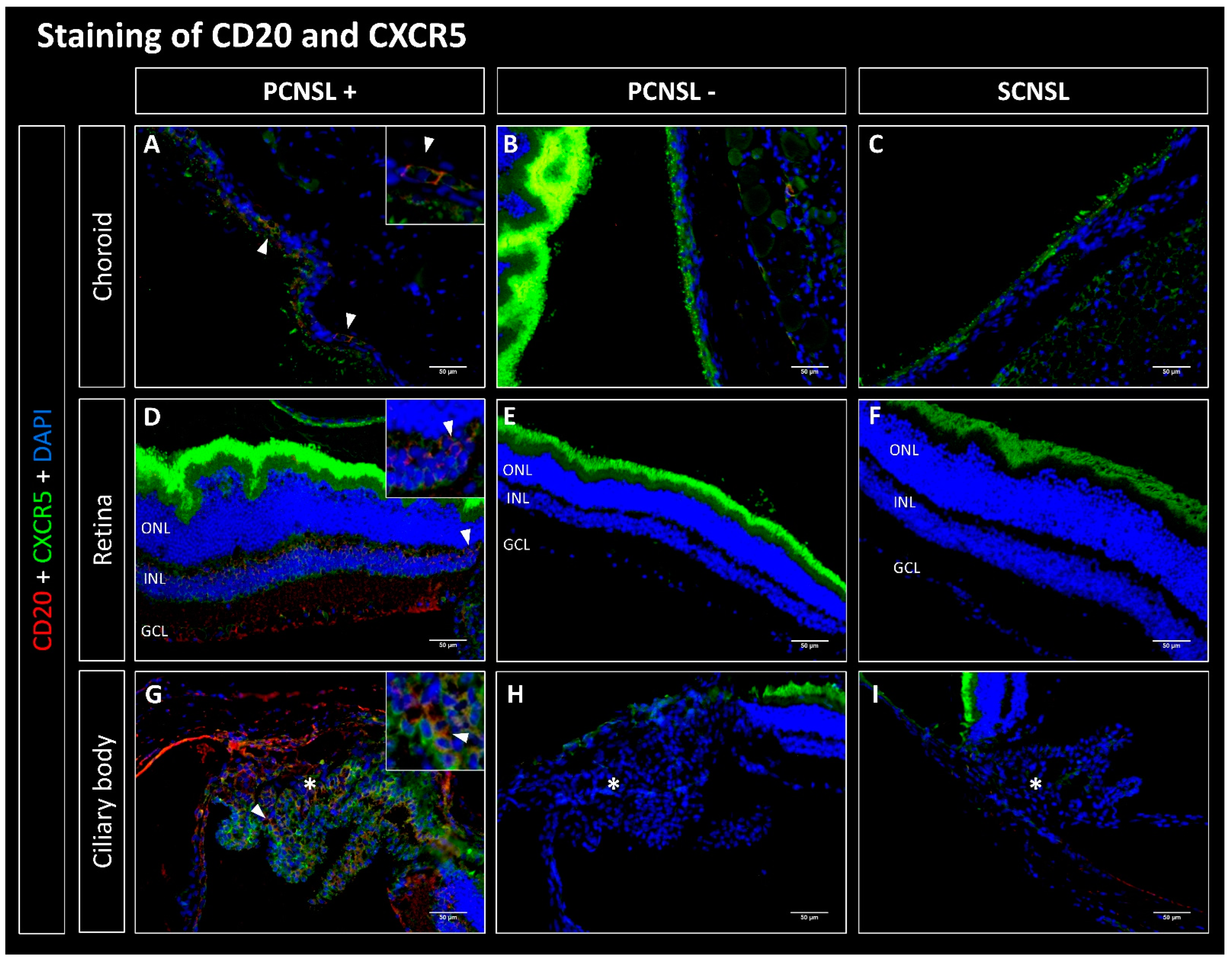 Ijms 23 11757 g002 Ijms 23 11757 g002