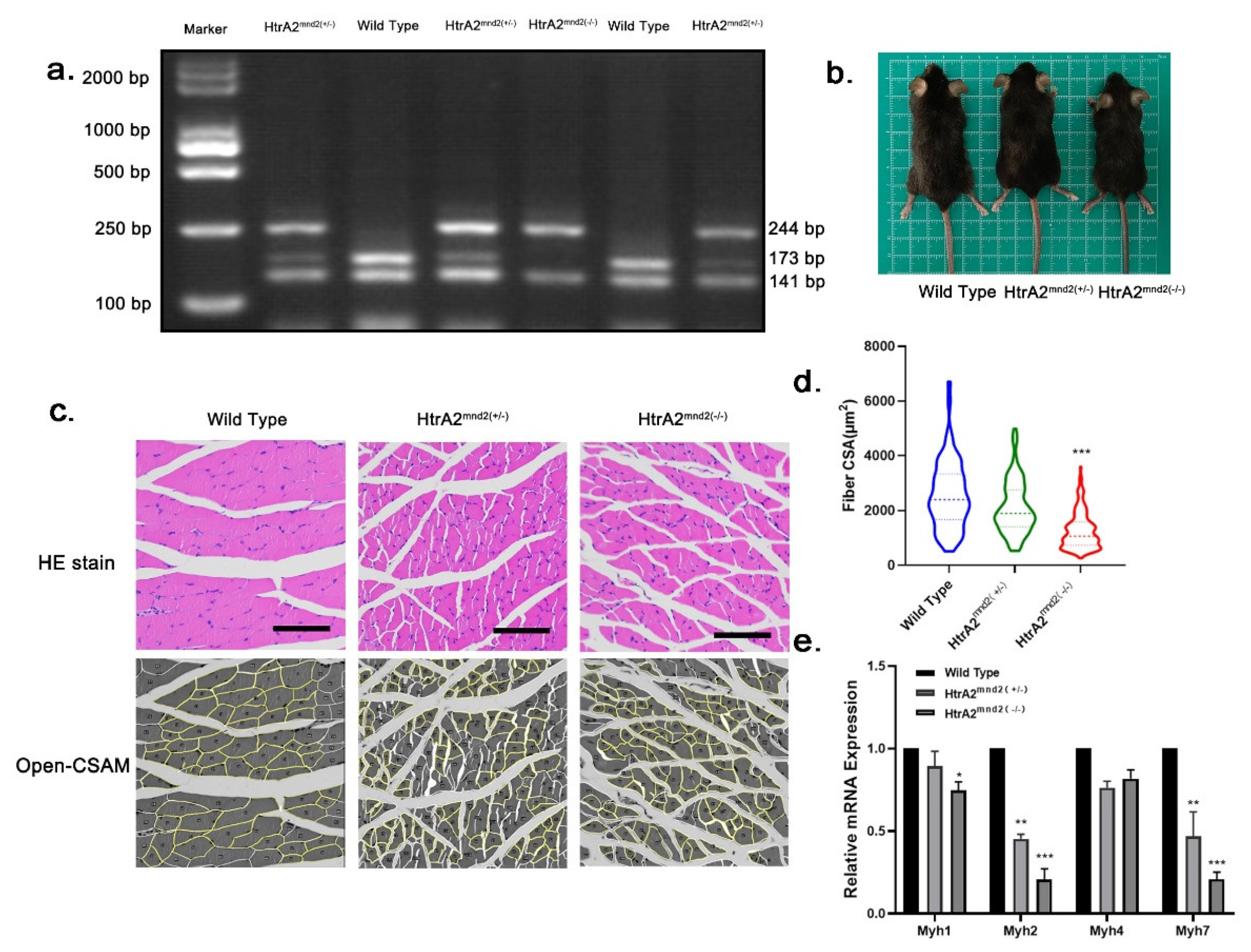 Ijms 23 11761 g001a Ijms 23 11761 g001a