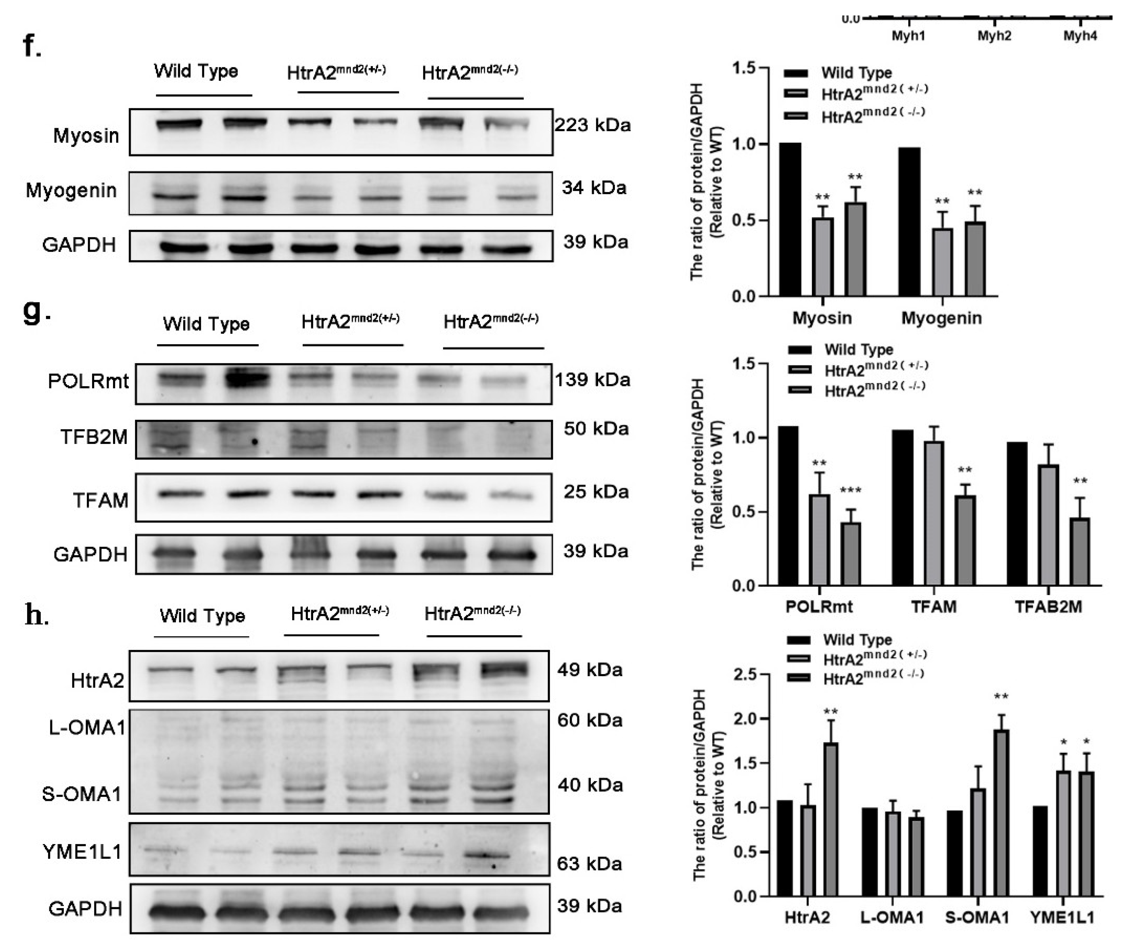 Ijms 23 11761 g001b Ijms 23 11761 g001b