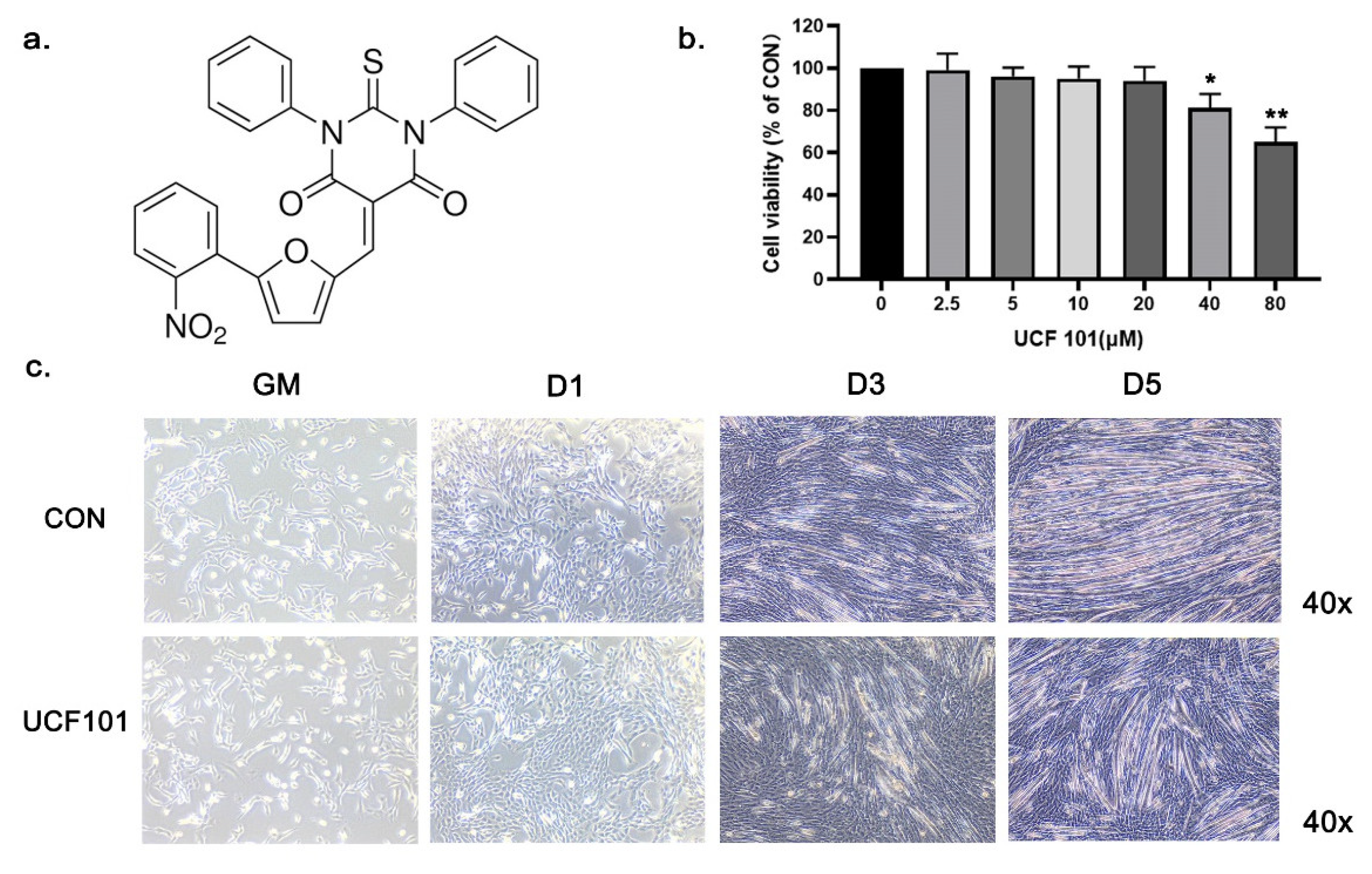Ijms 23 11761 g002a Ijms 23 11761 g002a