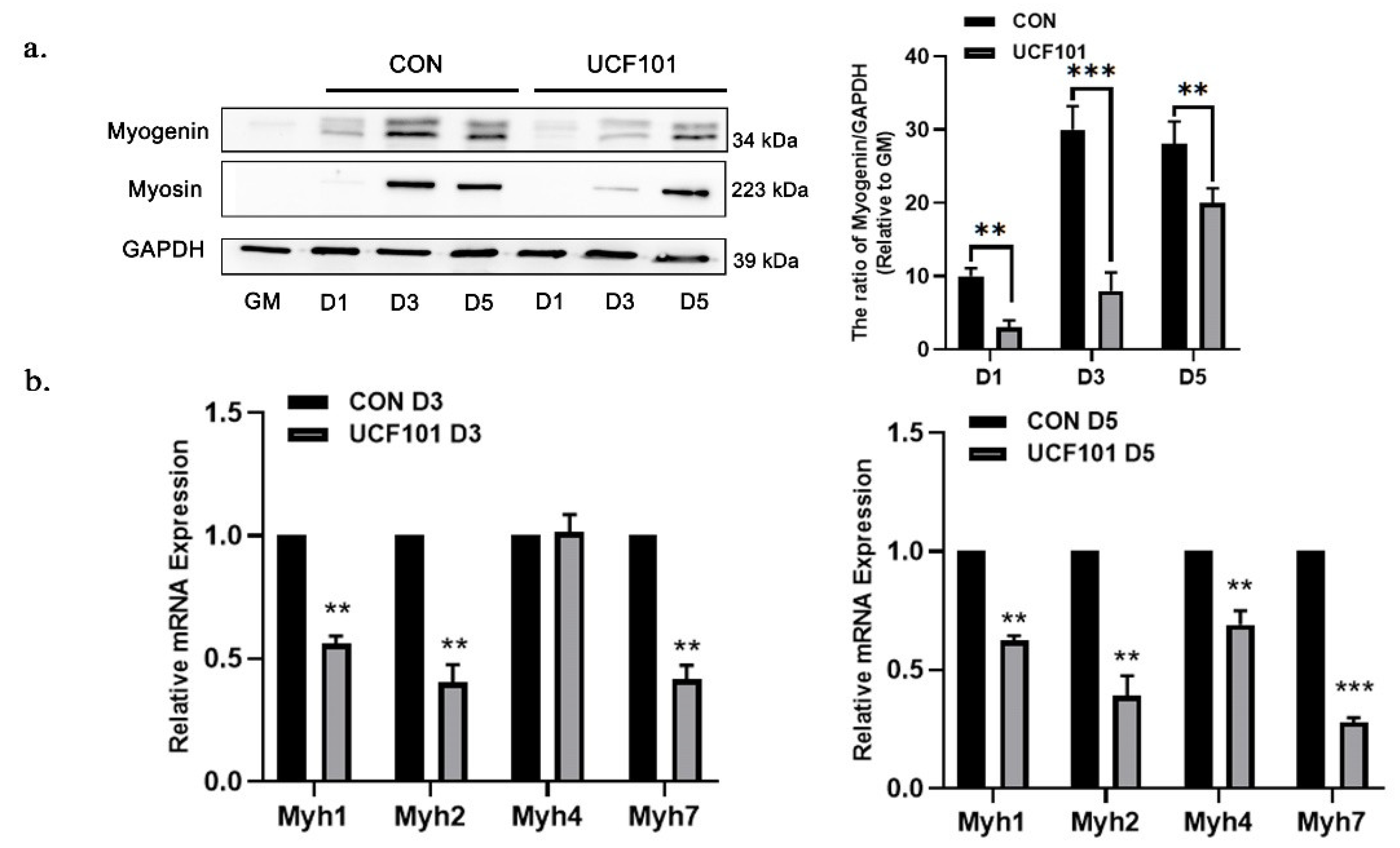 Ijms 23 11761 g003 Ijms 23 11761 g003