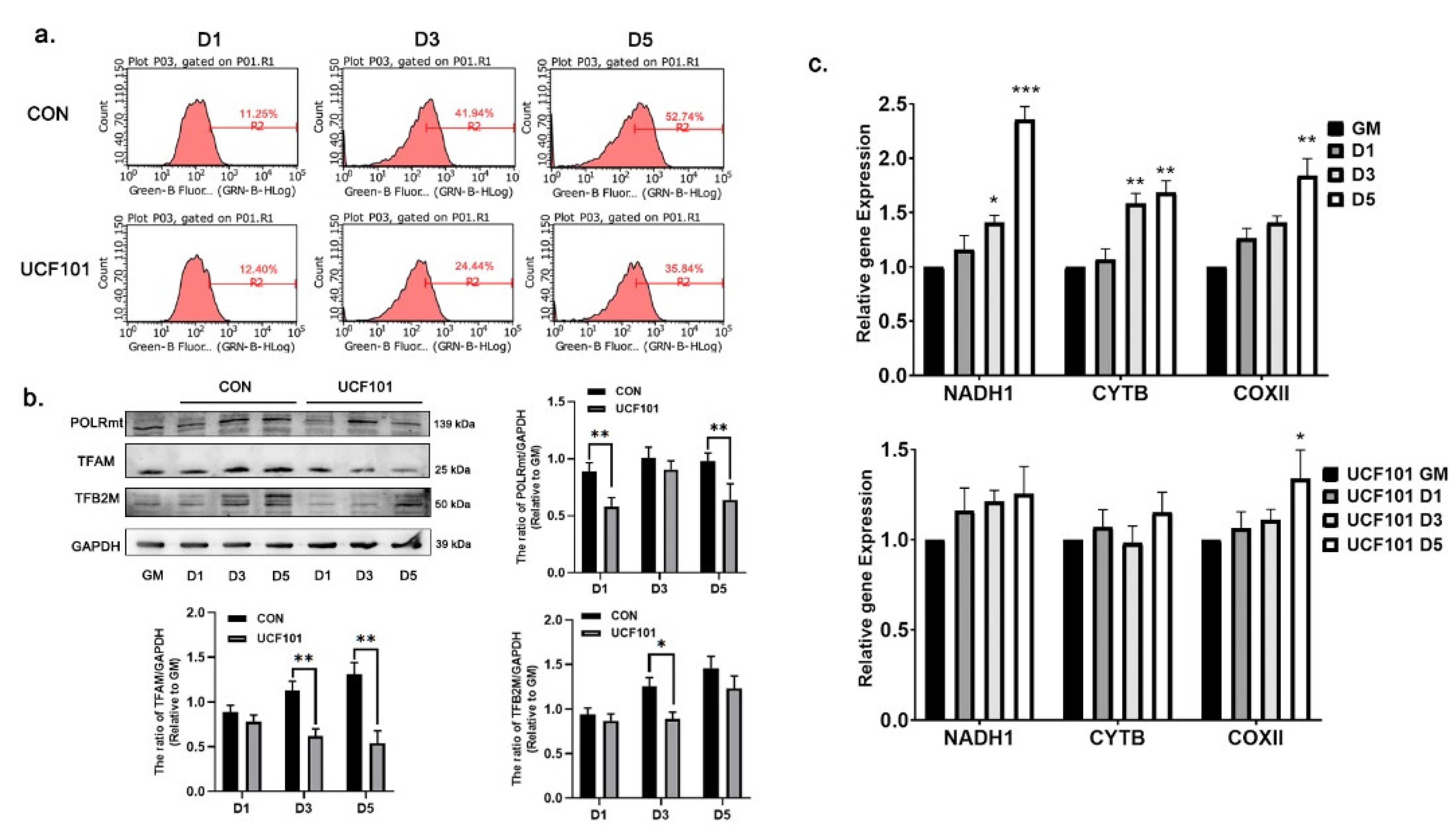 Ijms 23 11761 g006 Ijms 23 11761 g006