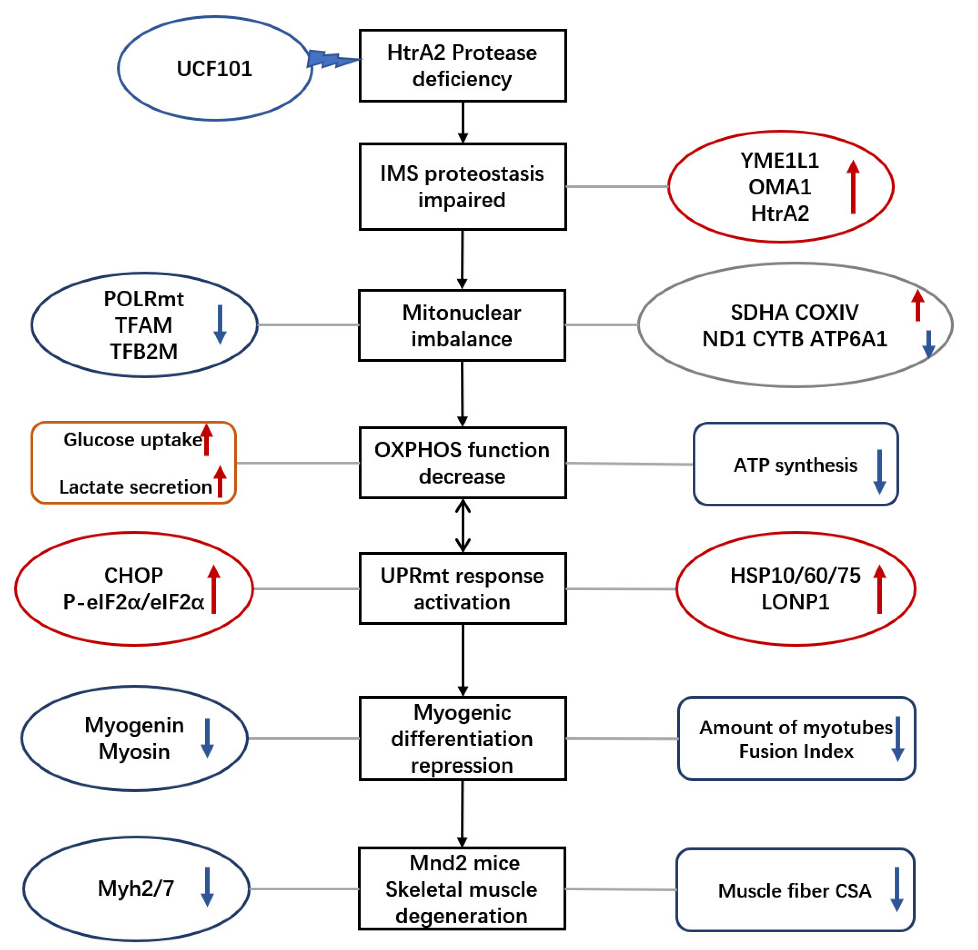 Ijms 23 11761 g008 Ijms 23 11761 g008