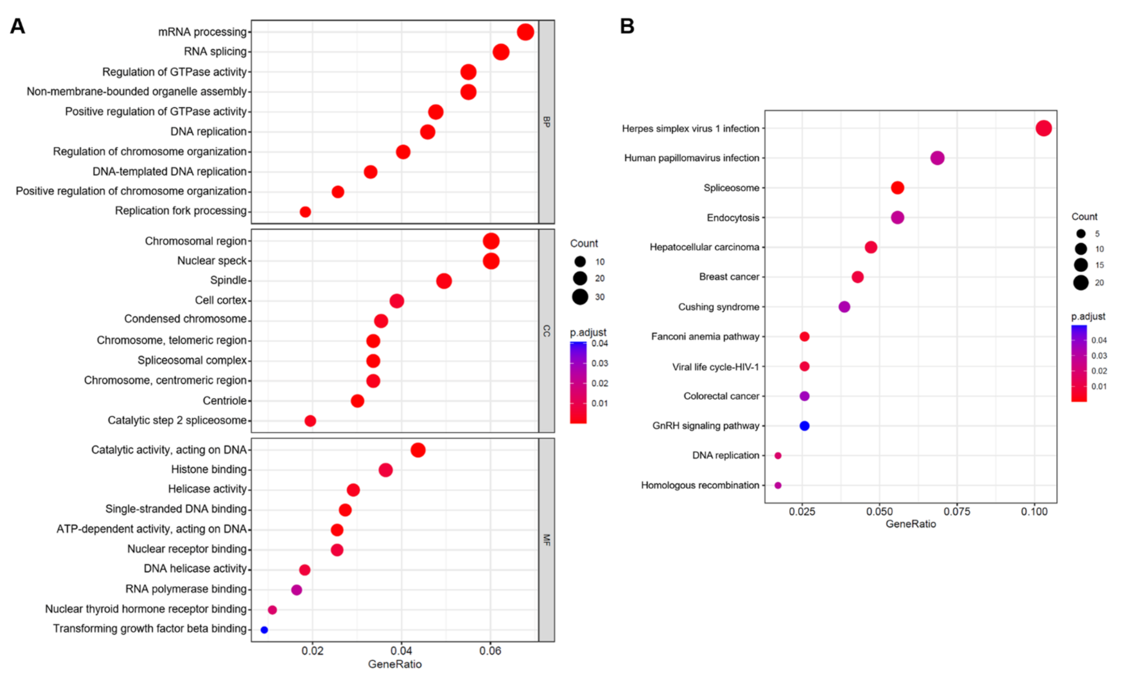 Ijms 23 11762 g002 Ijms 23 11762 g002