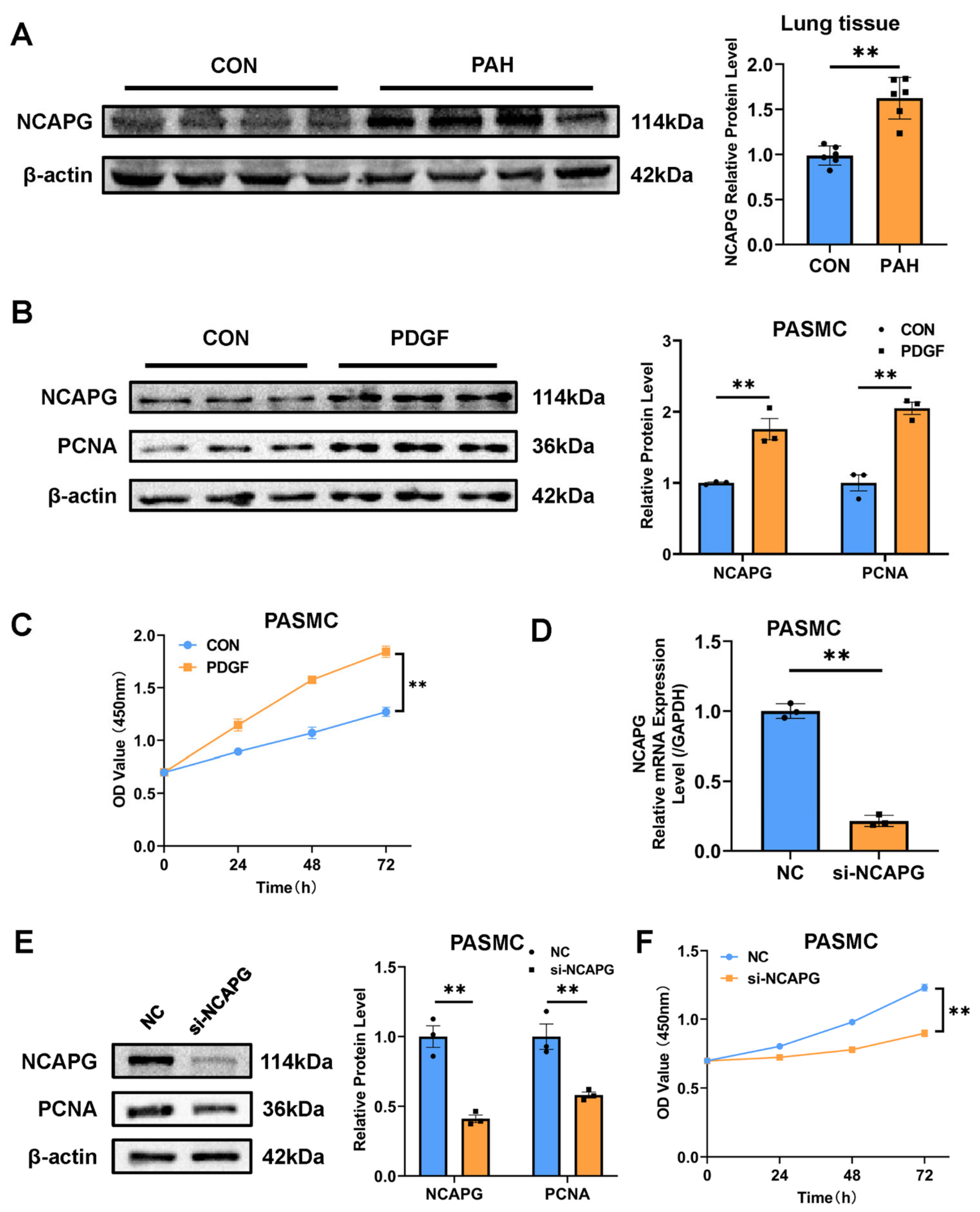 Ijms 23 11762 g005 Ijms 23 11762 g005