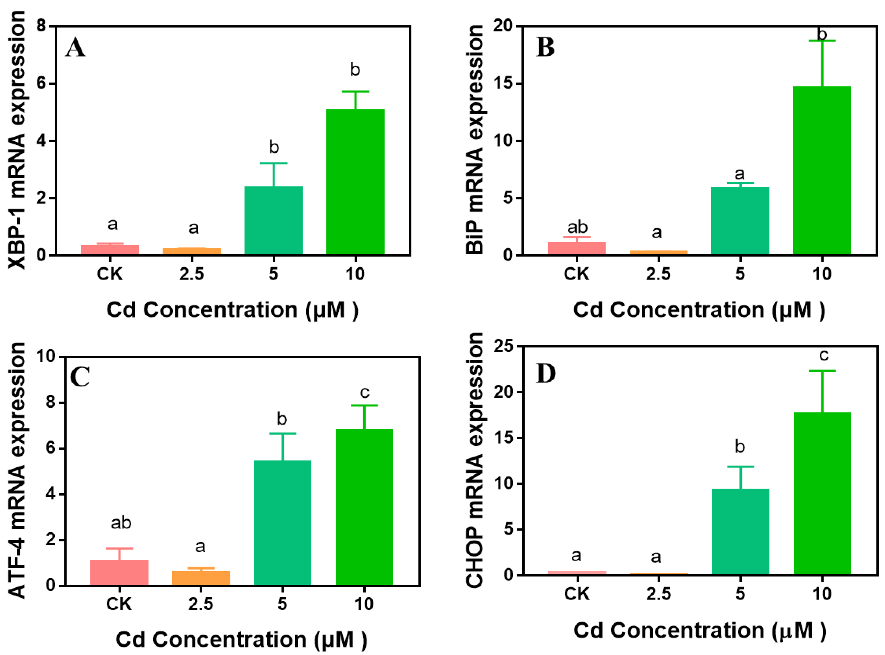 Ijms 23 11767 g006 Ijms 23 11767 g006