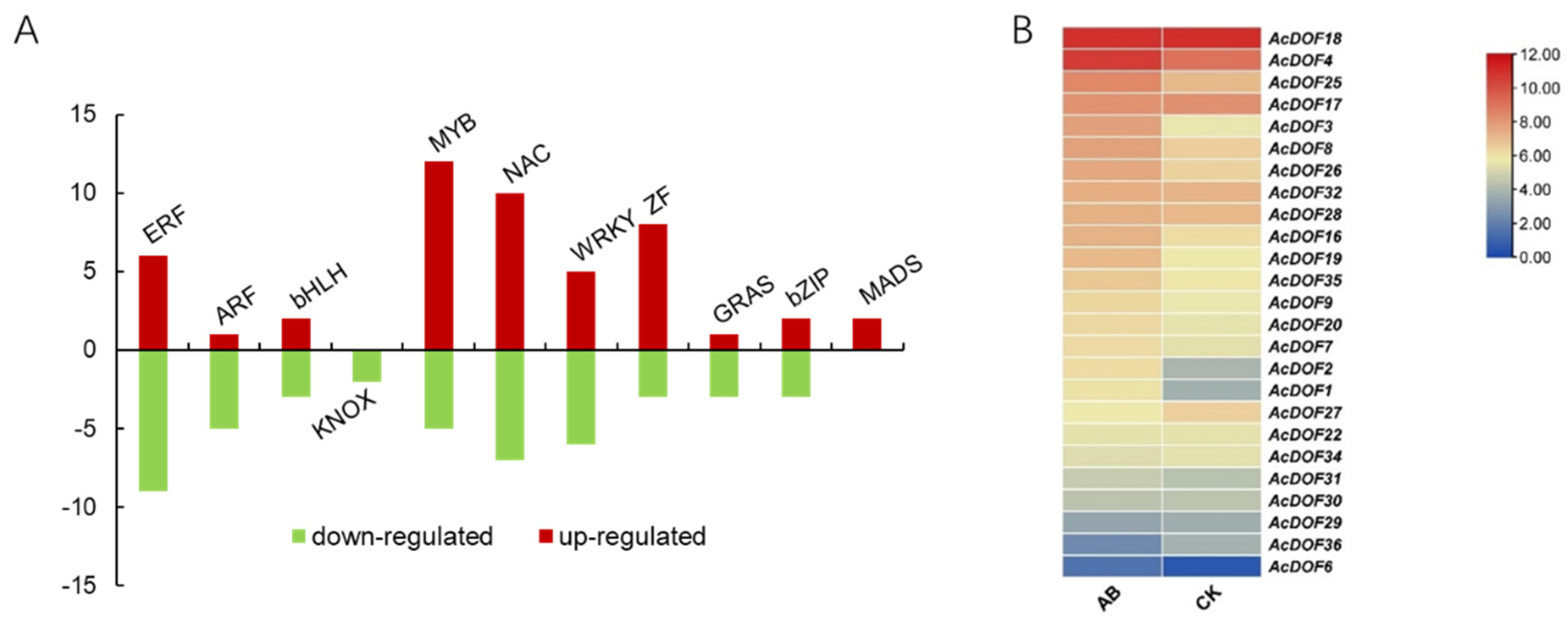 Ijms 23 11768 g003 Ijms 23 11768 g003