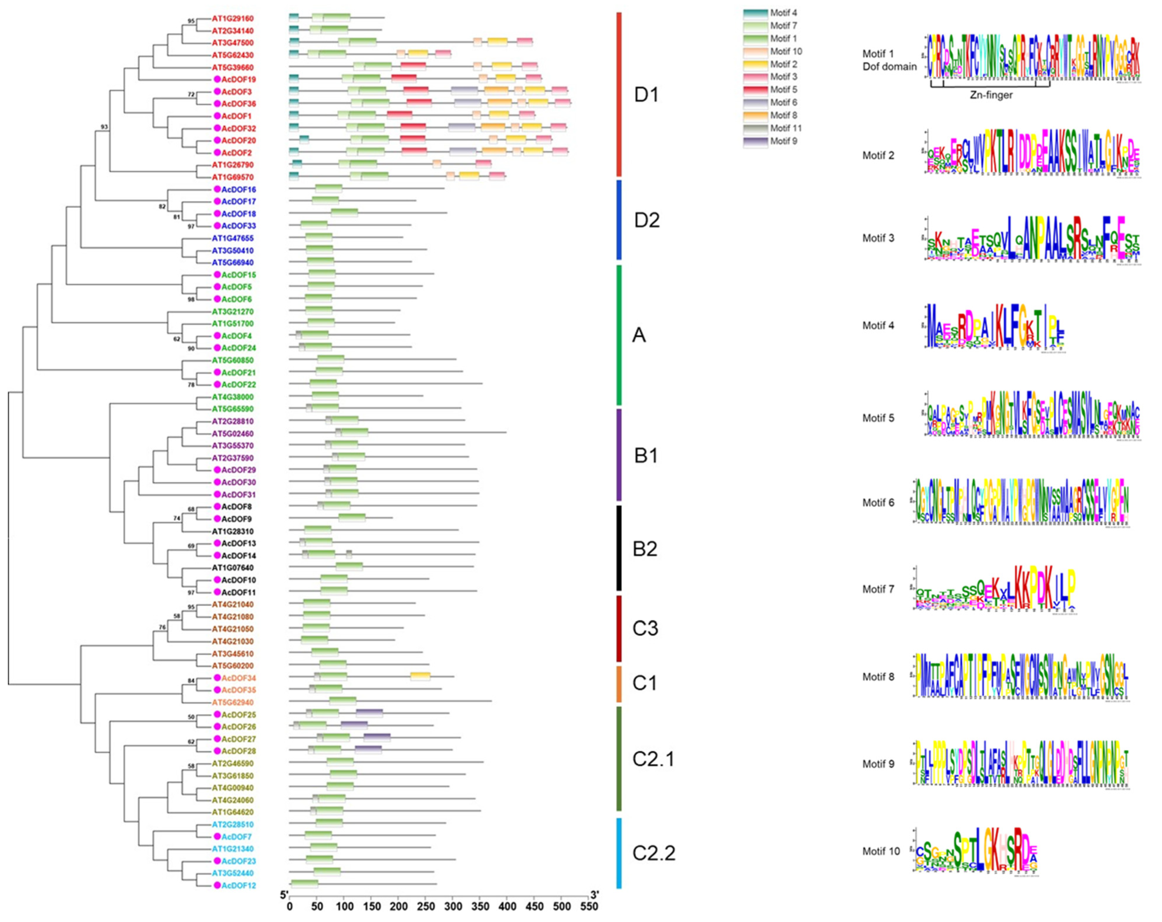 Ijms 23 11768 g009 Ijms 23 11768 g009