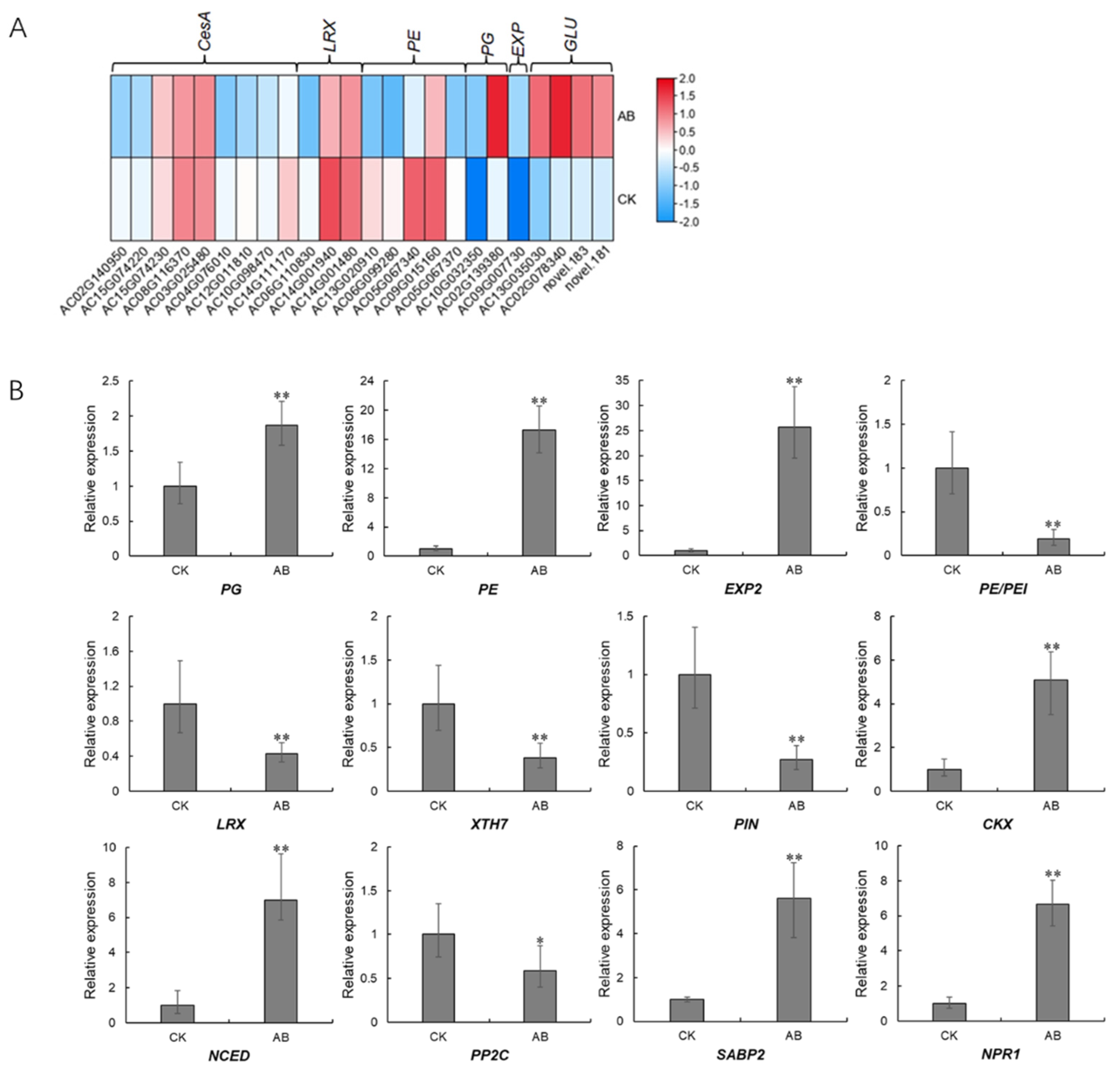 Ijms 23 11768 g011 Ijms 23 11768 g011