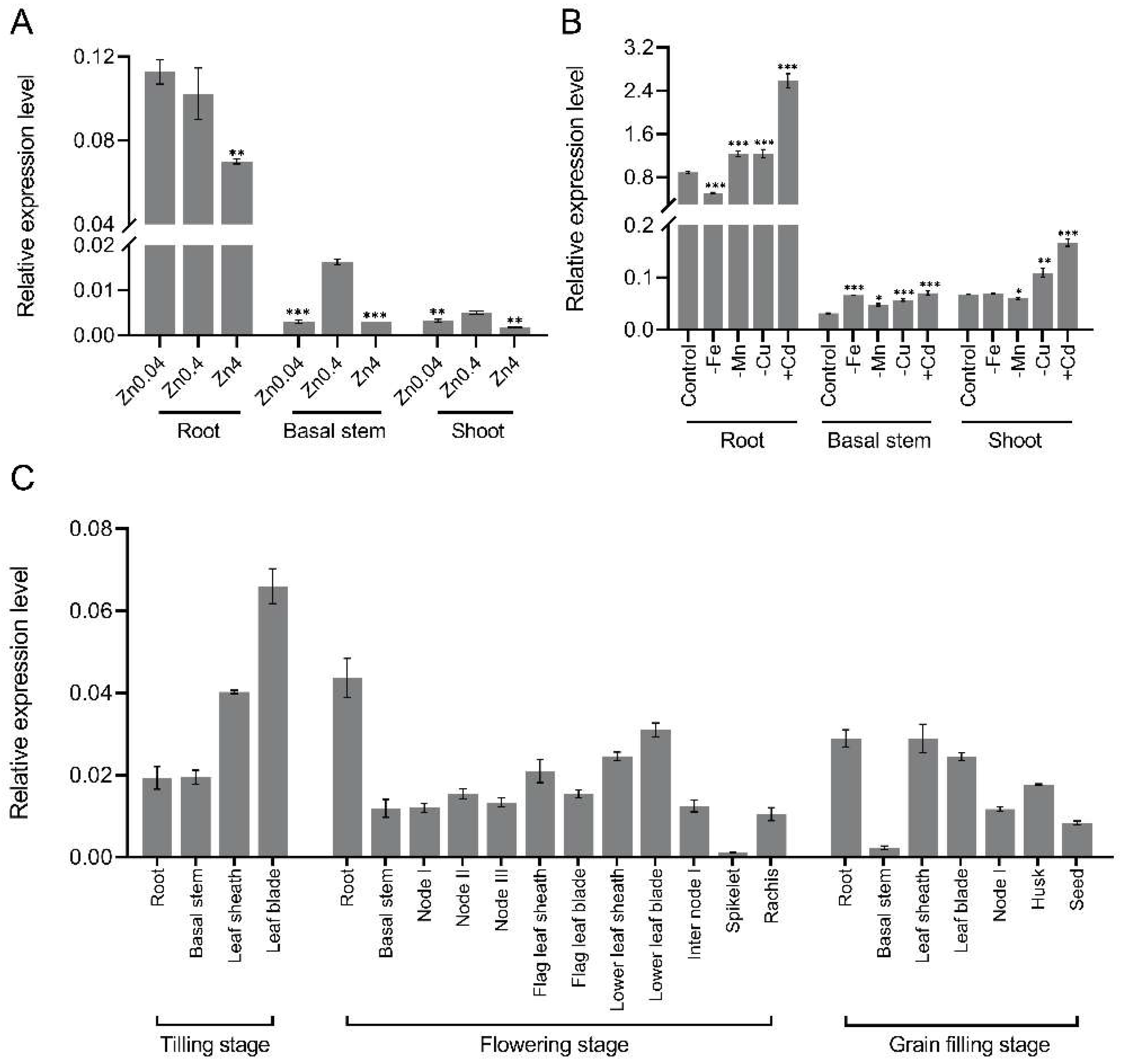 が大特価！ to Tolerance Regulates OsNAC15 Zinc Cadmium and Deficiency ヴァイスシュヴァルツ