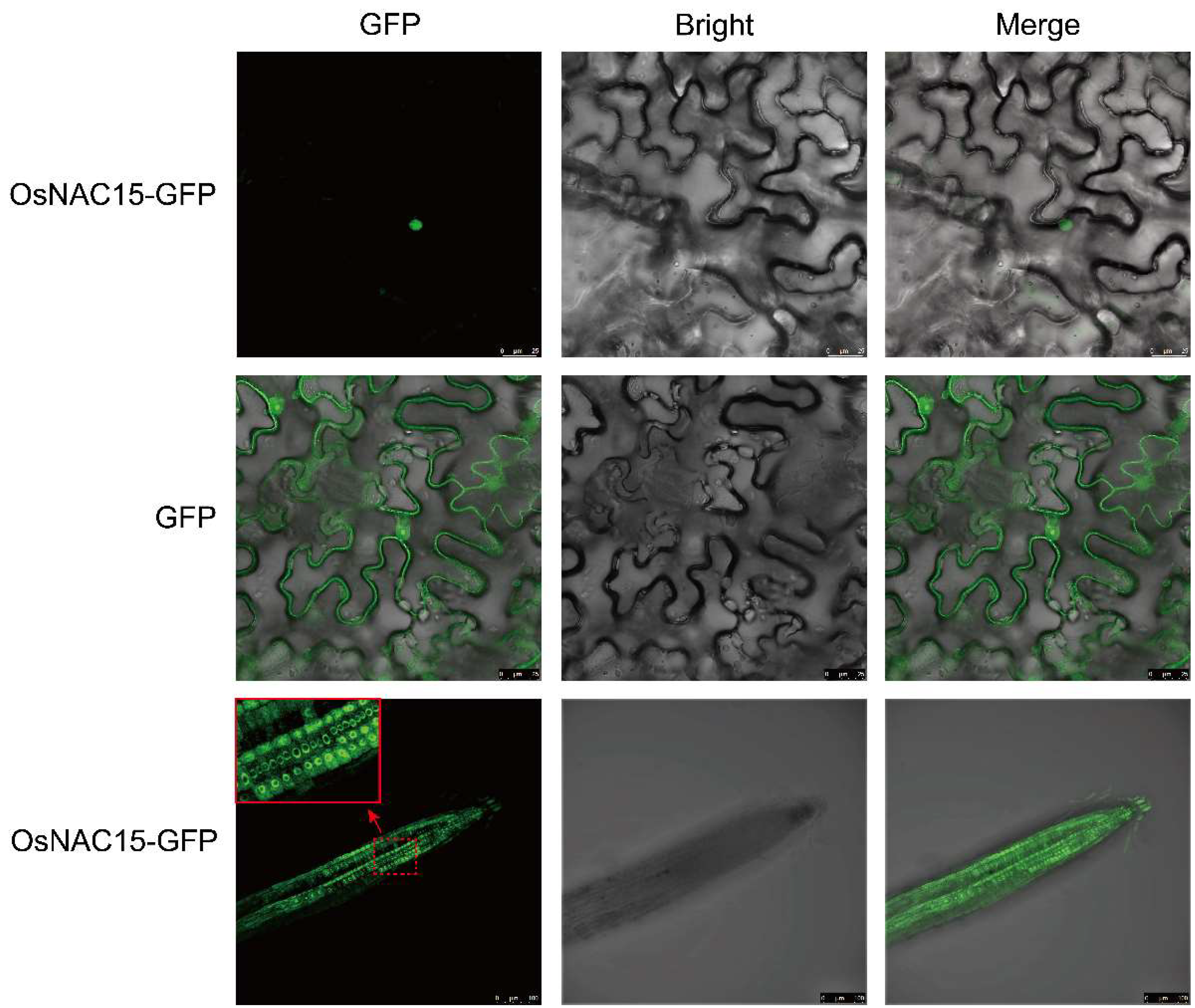 Ijms 23 11771 g002 Ijms 23 11771 g002