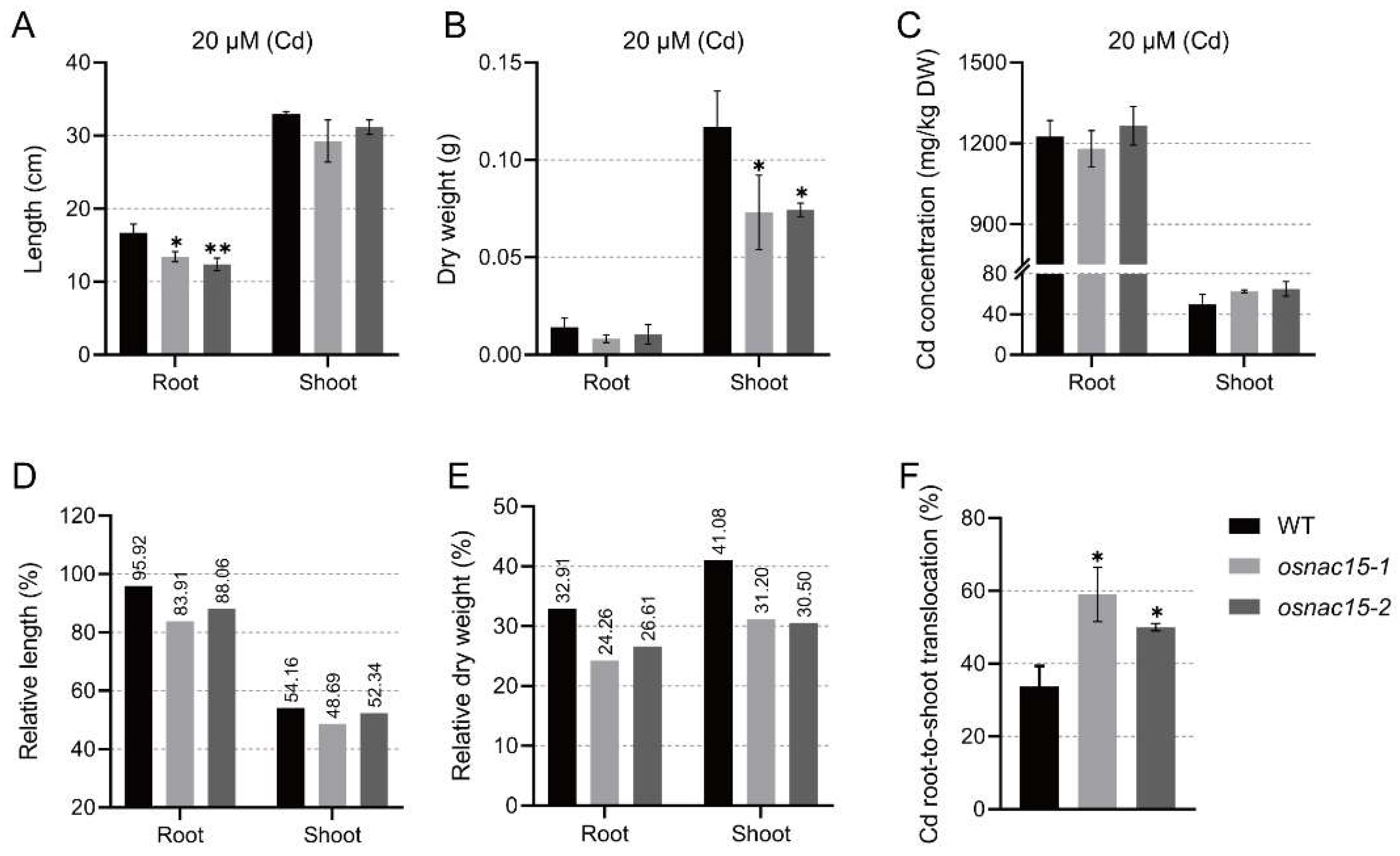 Ijms 23 11771 g004 Ijms 23 11771 g004