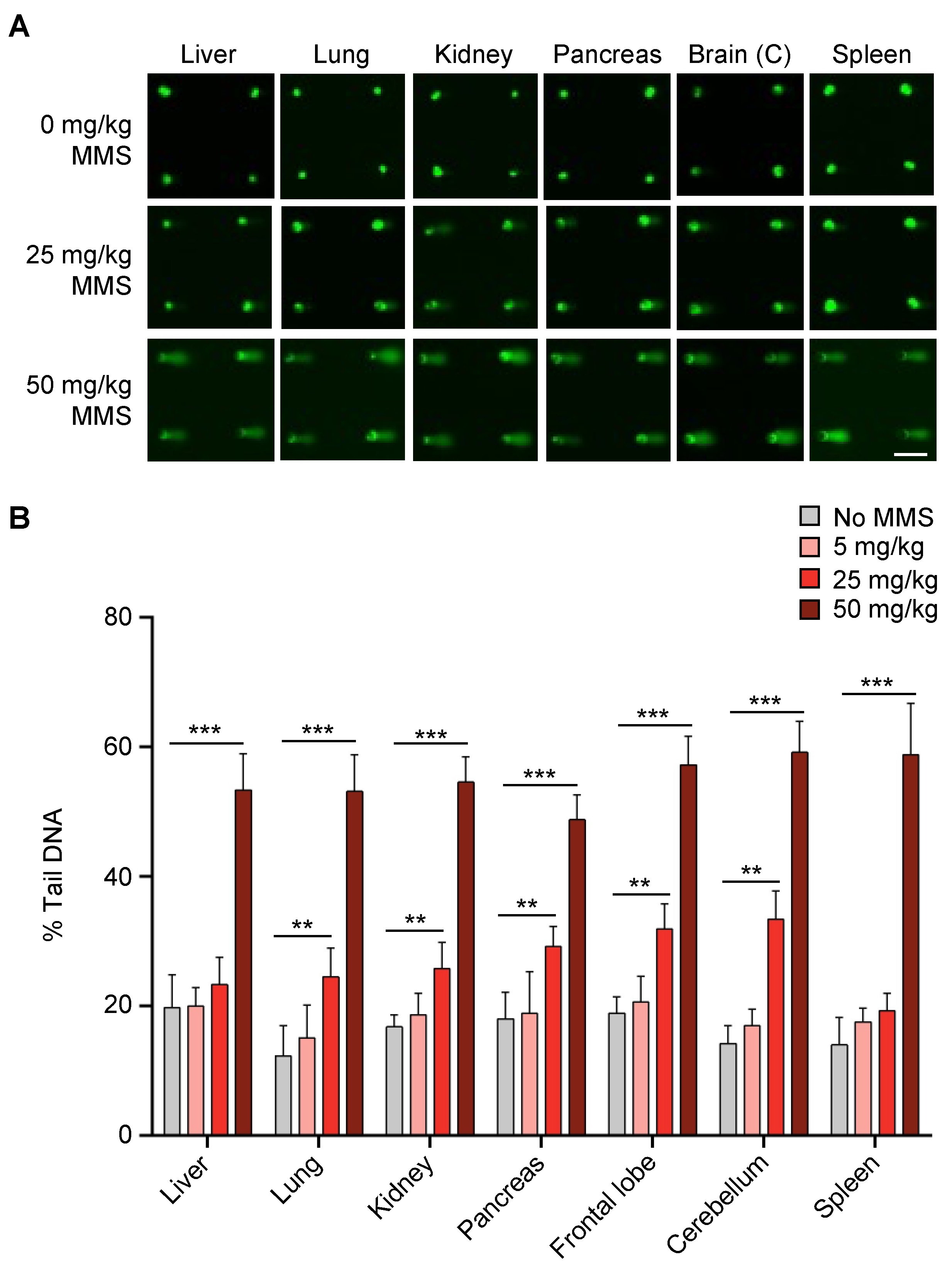 Ijms 23 11776 g002 Ijms 23 11776 g002