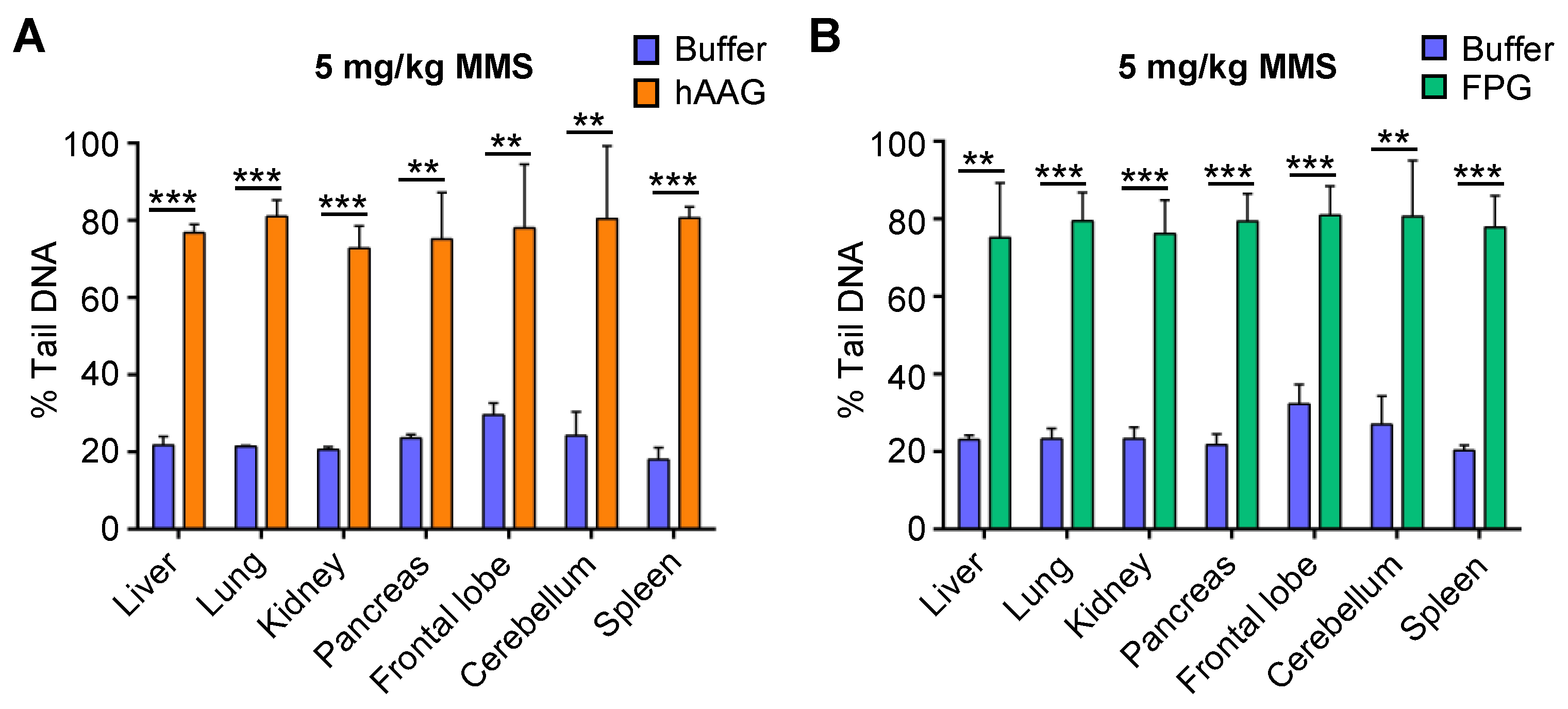 Ijms 23 11776 g003 Ijms 23 11776 g003