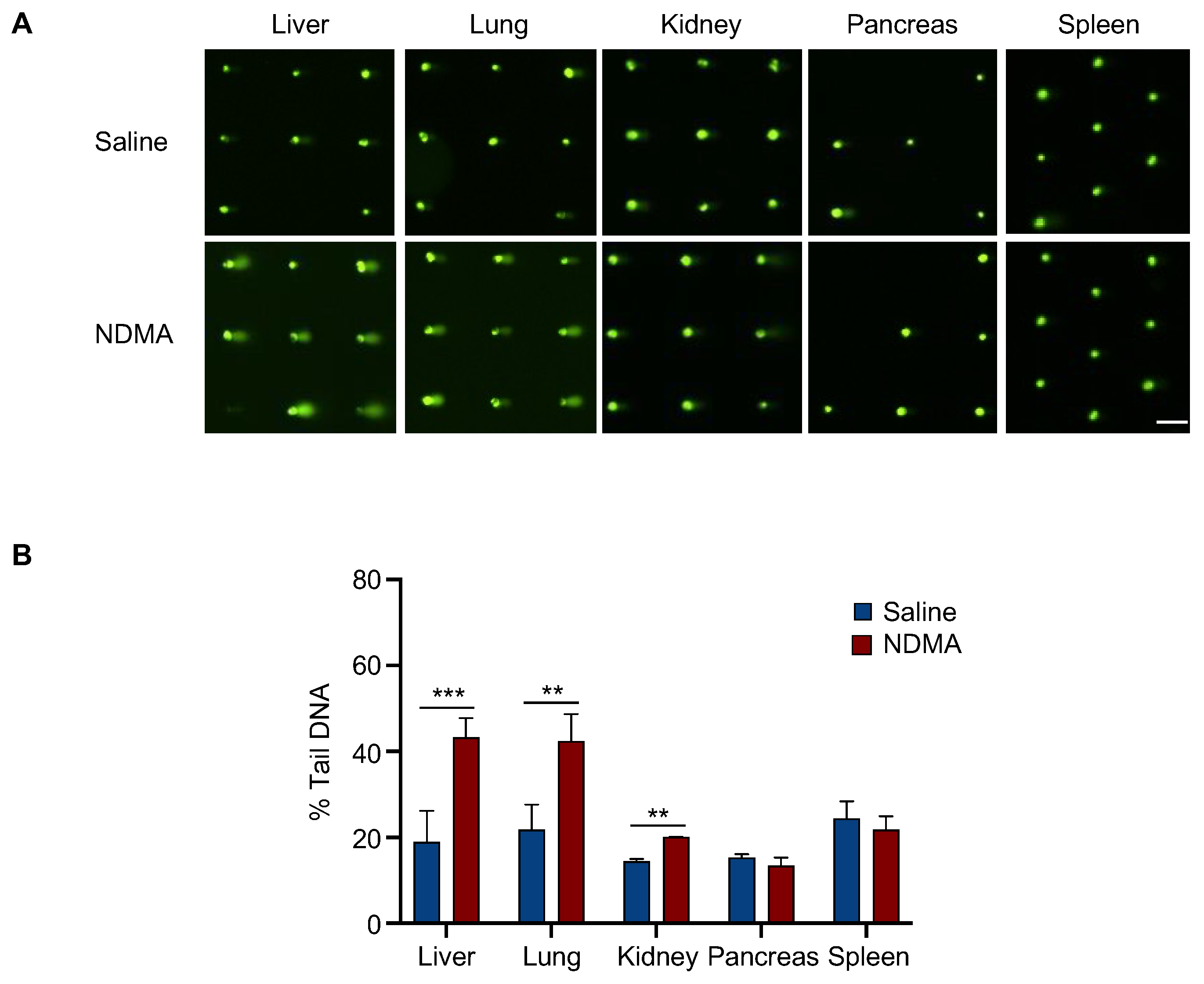 Ijms 23 11776 g004 Ijms 23 11776 g004