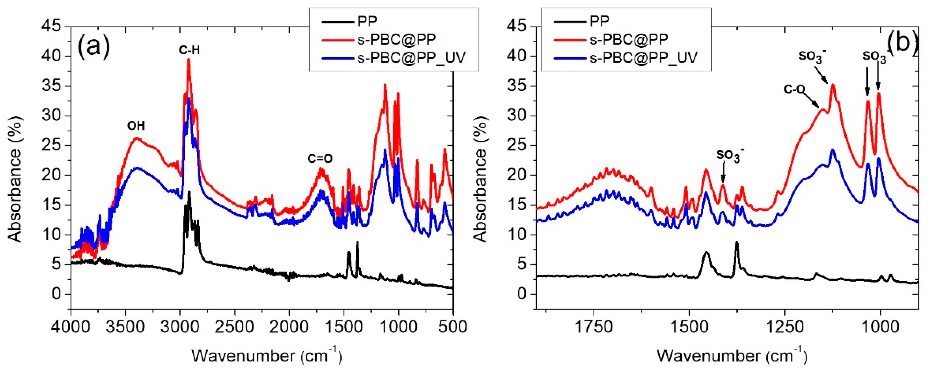 Ijms 23 11777 g002 Ijms 23 11777 g002
