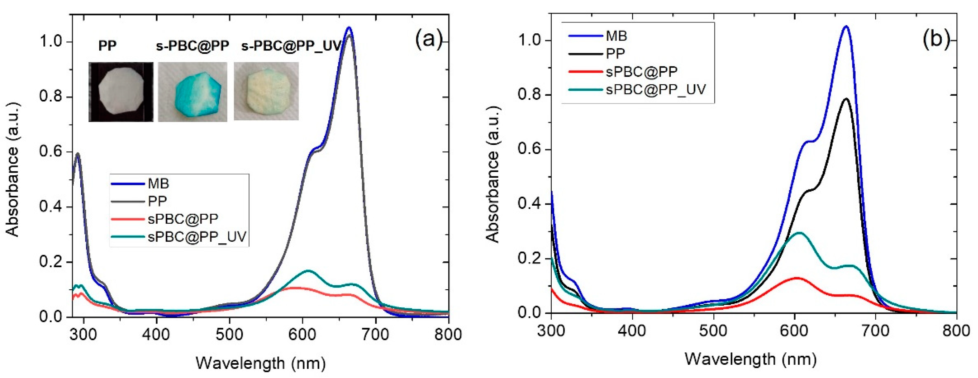 Ijms 23 11777 g003 Ijms 23 11777 g003