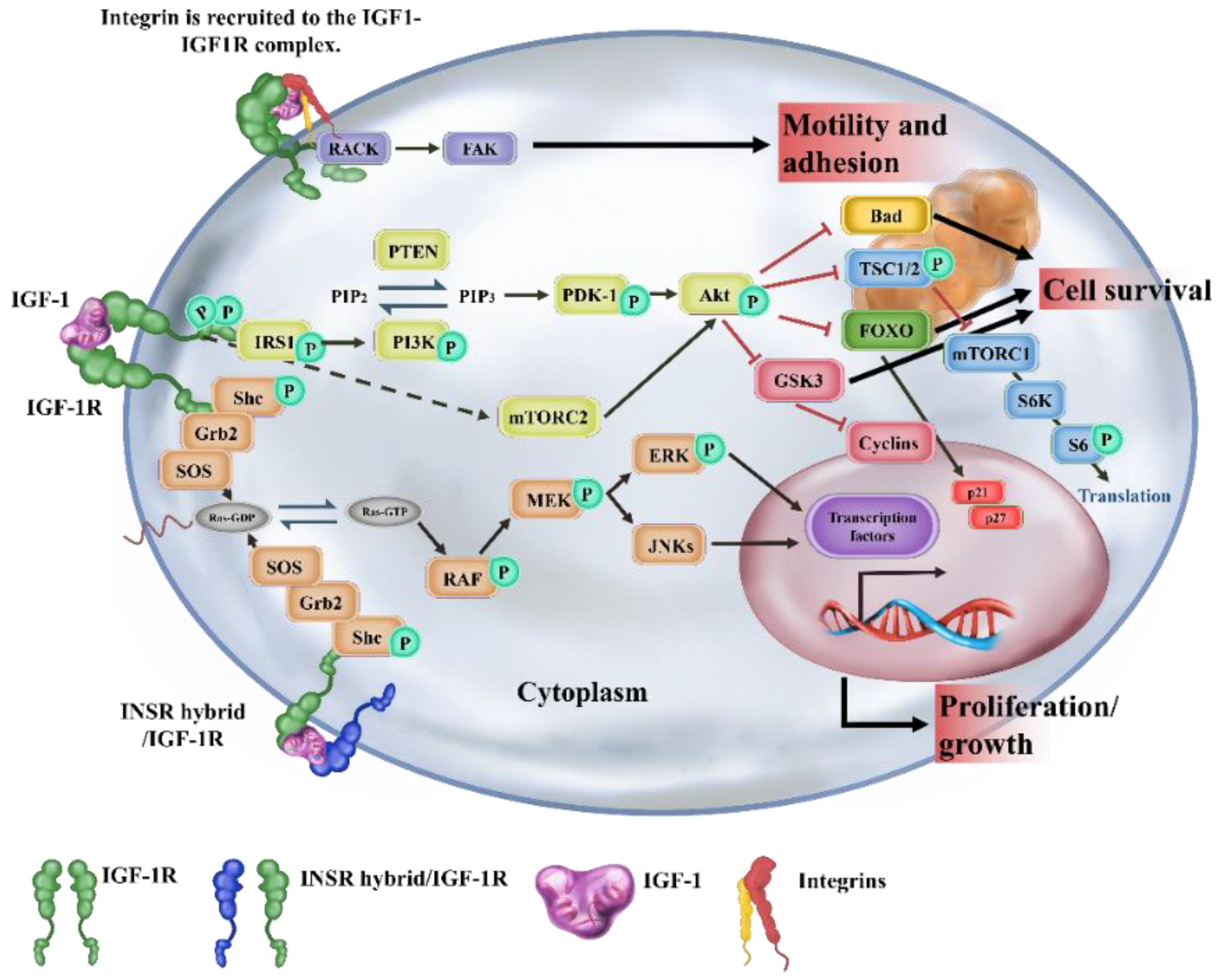 Ijms 23 11781 g001 Ijms 23 11781 g001