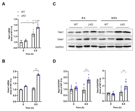 Hepatocyte-Specific Deficiency of DAX-1 Protects Mice from