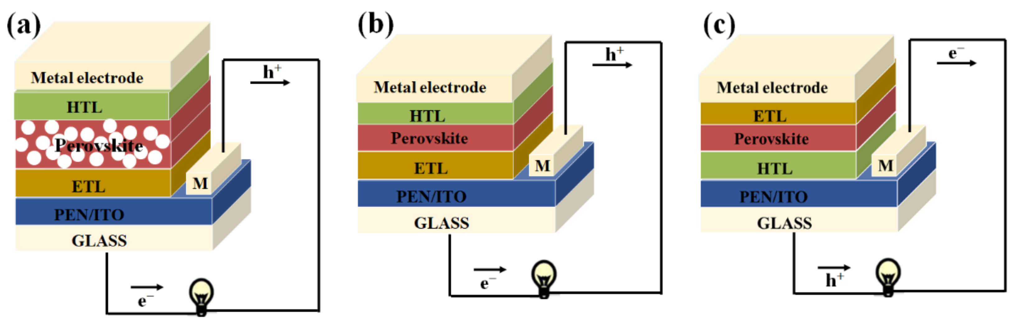 Ijms 23 11792 g002 Ijms 23 11792 g002