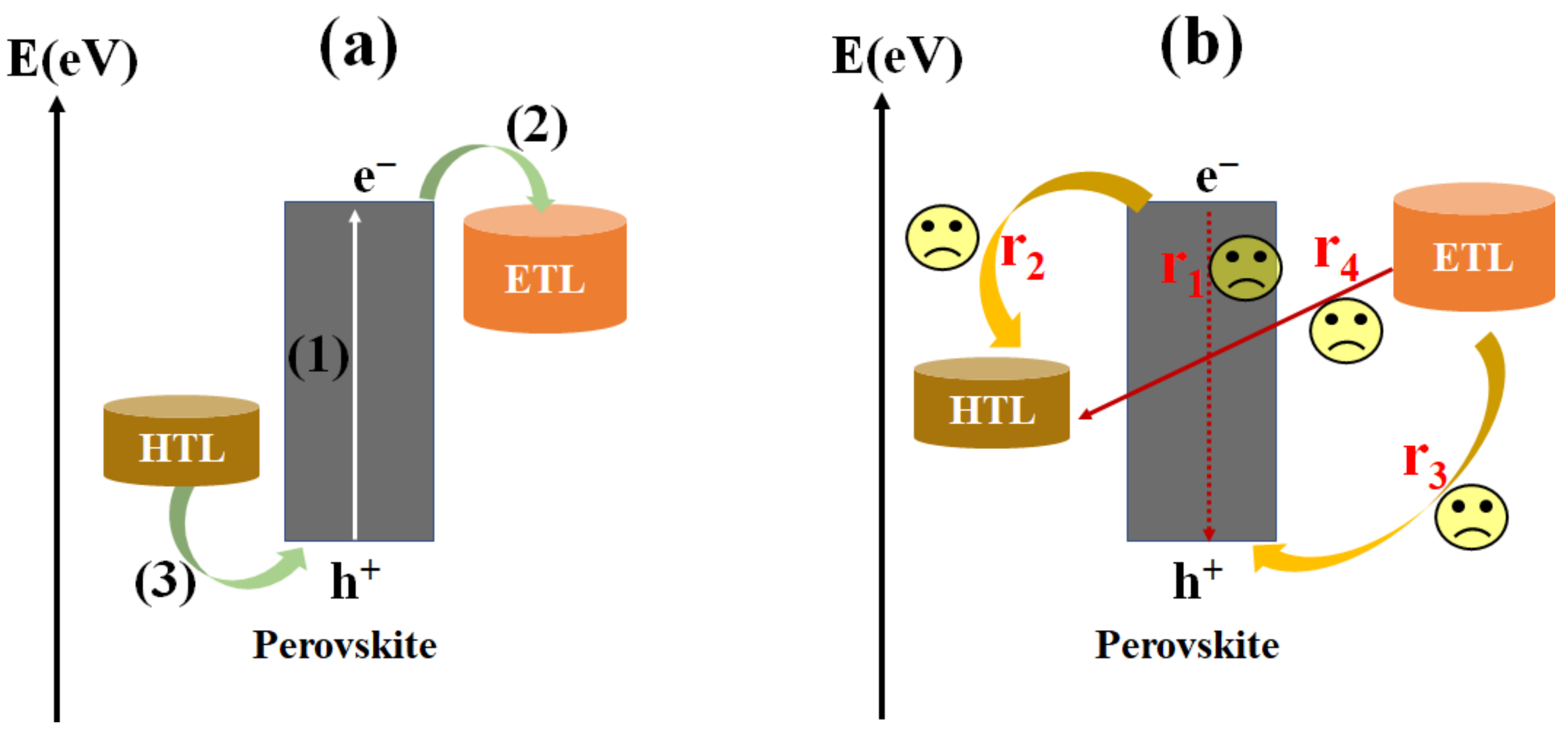 Ijms 23 11792 g003 Ijms 23 11792 g003