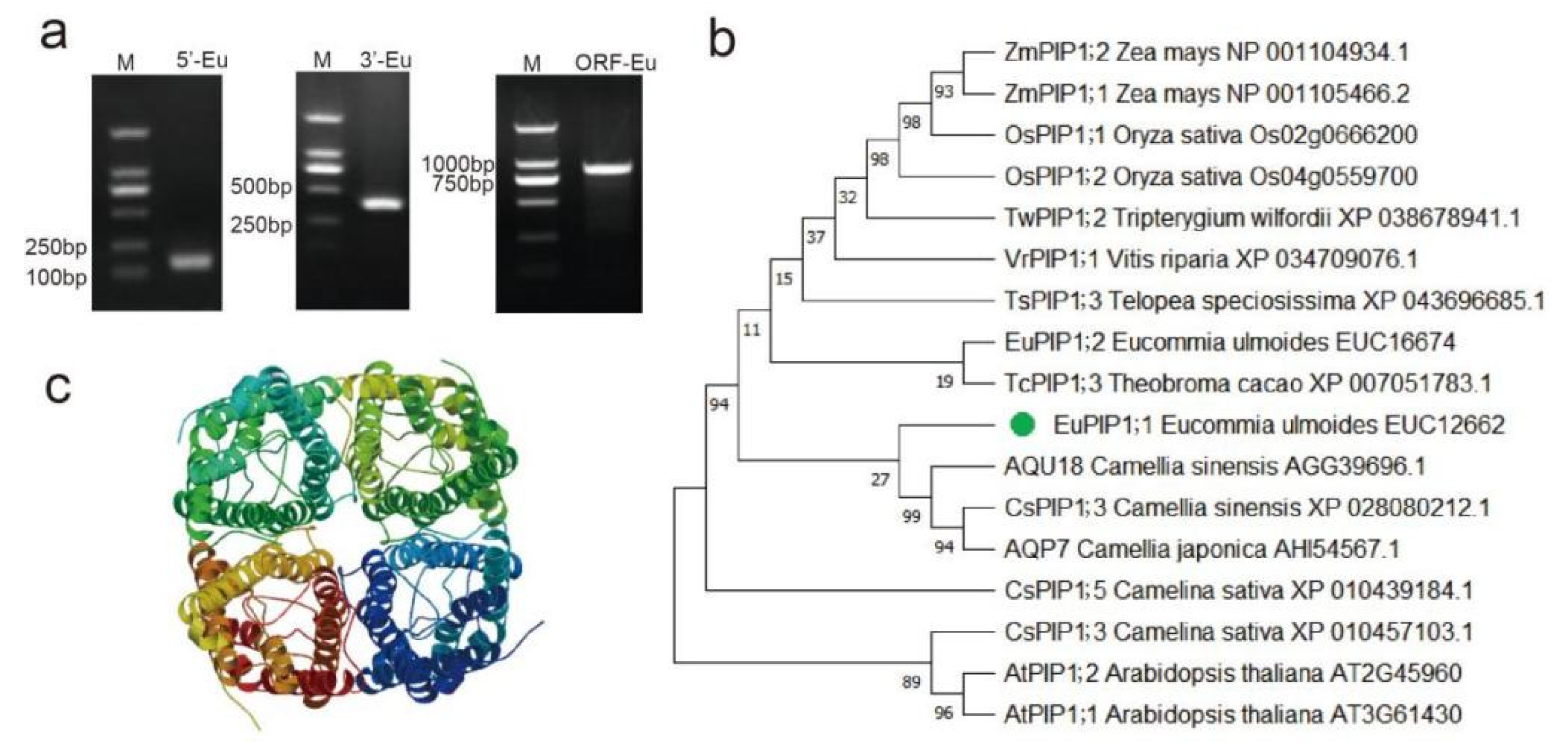 Ijms 23 11794 g001 Ijms 23 11794 g001