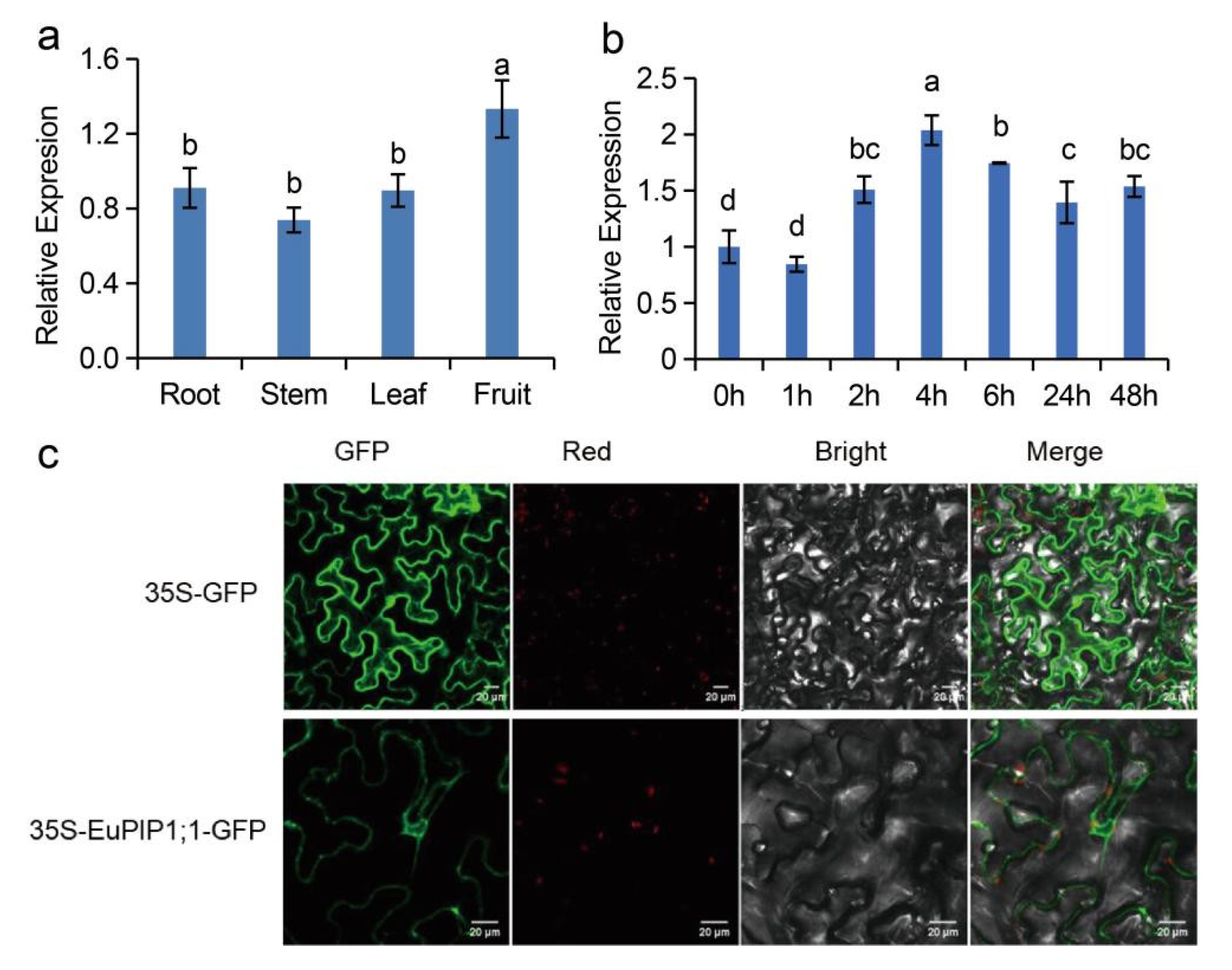 Ijms 23 11794 g003 Ijms 23 11794 g003
