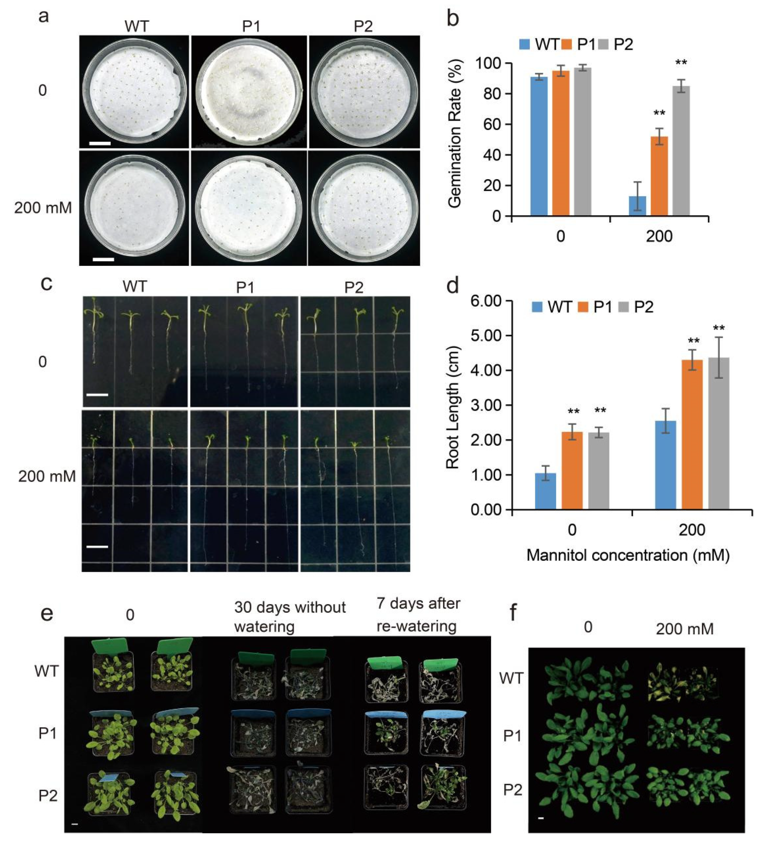 Ijms 23 11794 g007 Ijms 23 11794 g007