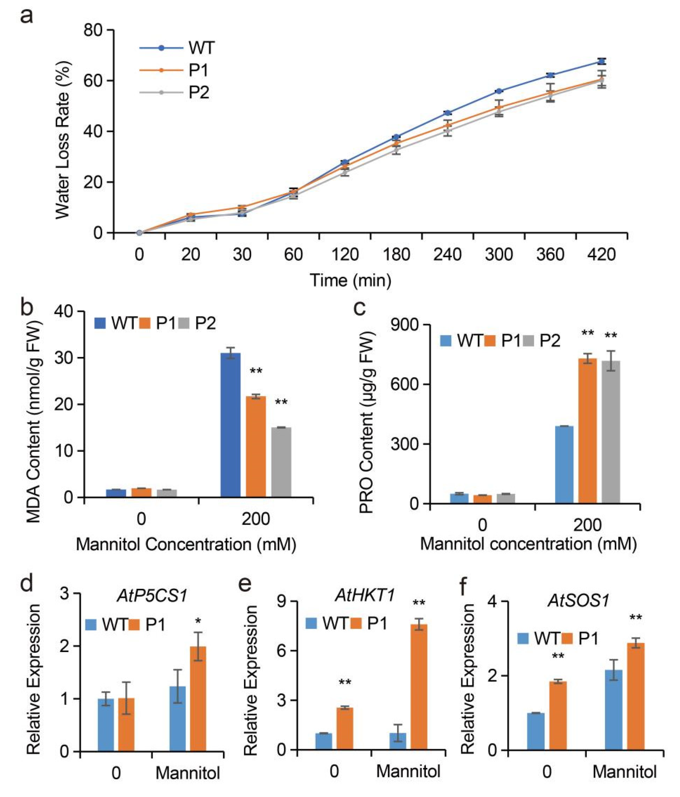Ijms 23 11794 g008 Ijms 23 11794 g008