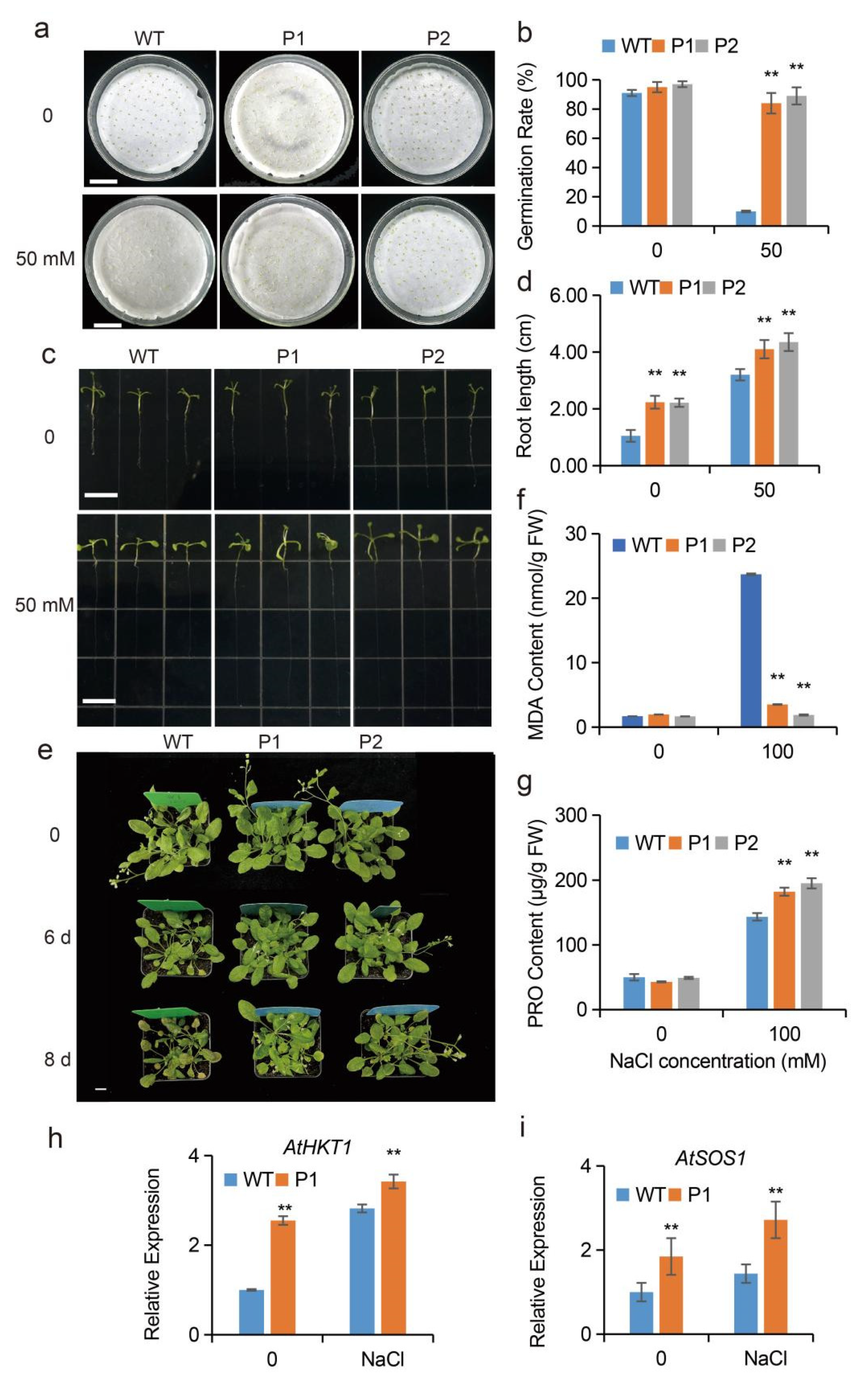 Ijms 23 11794 g009 Ijms 23 11794 g009