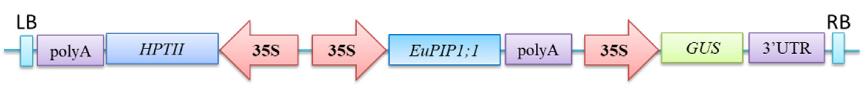 Ijms 23 11794 g010 Ijms 23 11794 g010