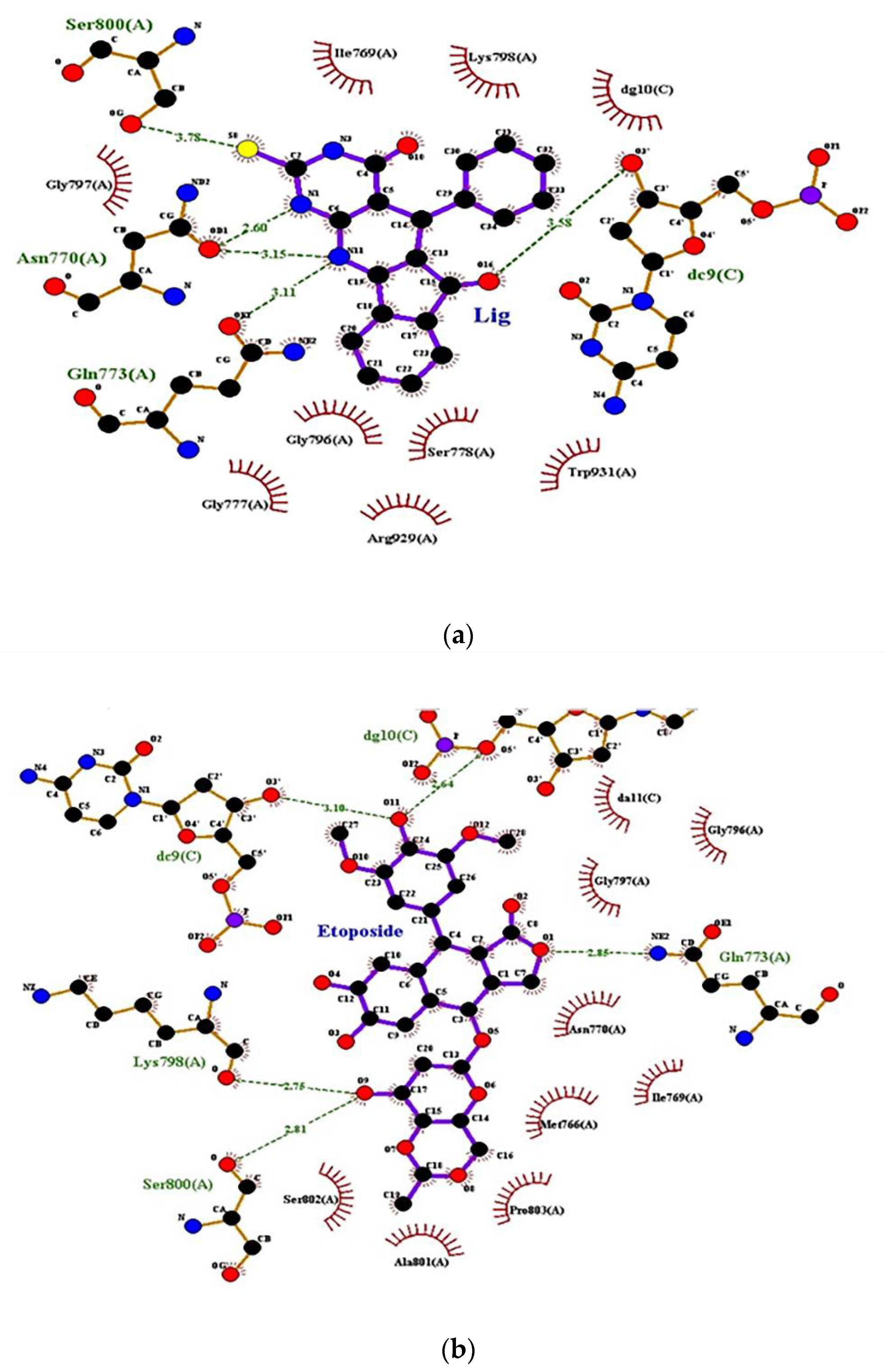 Ijms 23 11799 g004 Ijms 23 11799 g004