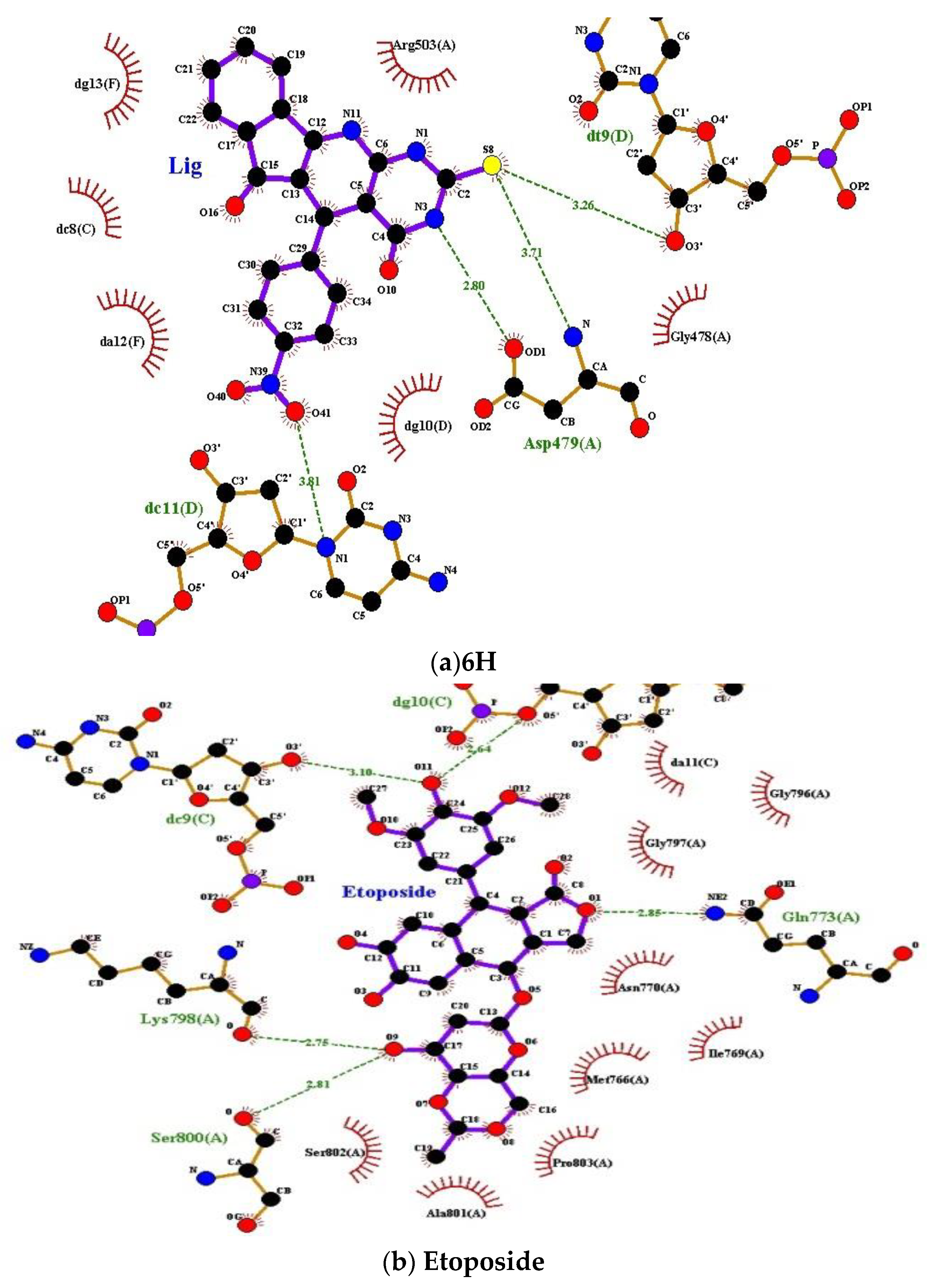 Ijms 23 11799 g005 Ijms 23 11799 g005