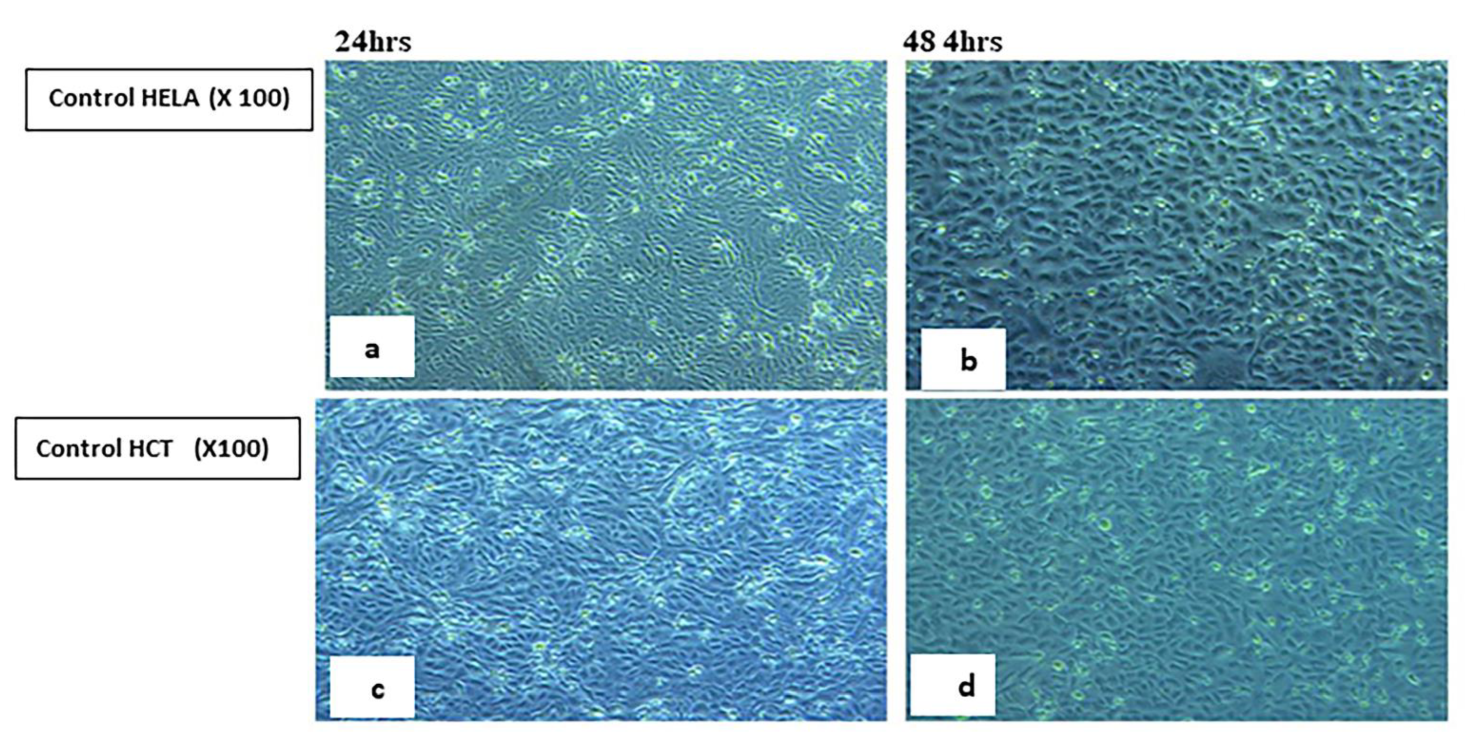 Ijms 23 11799 g008 Ijms 23 11799 g008