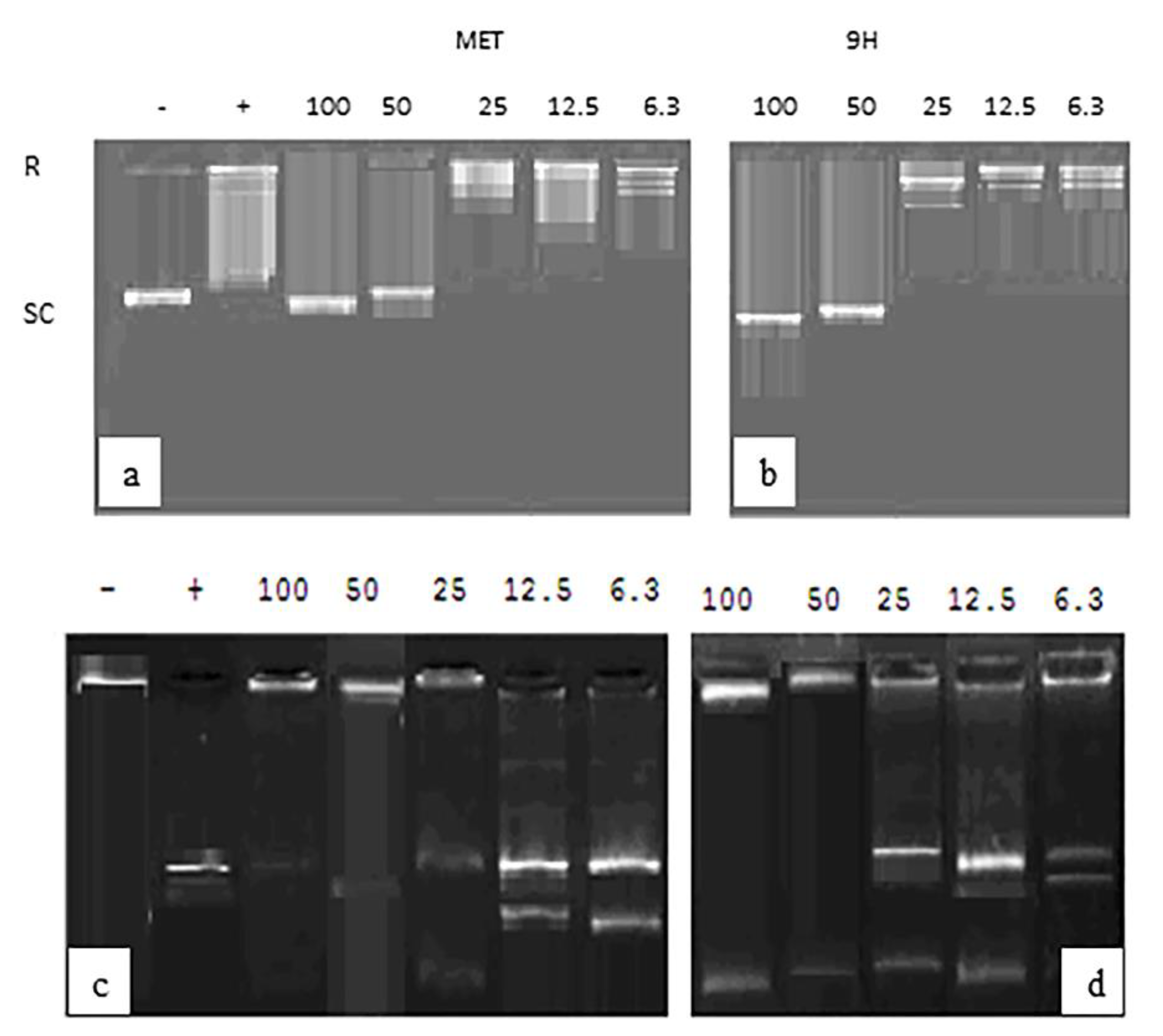 Ijms 23 11799 g014 Ijms 23 11799 g014