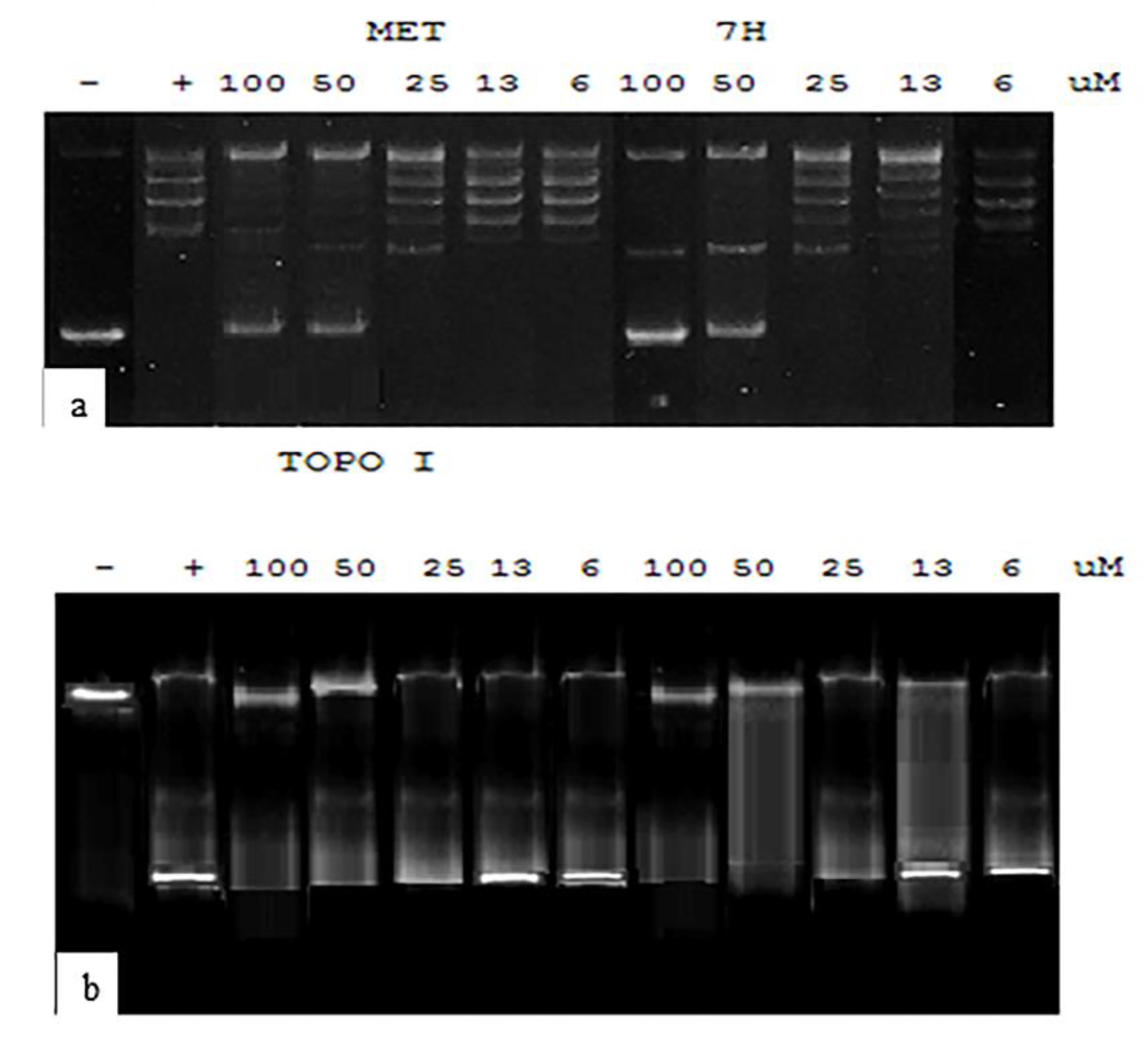 Ijms 23 11799 g015 Ijms 23 11799 g015