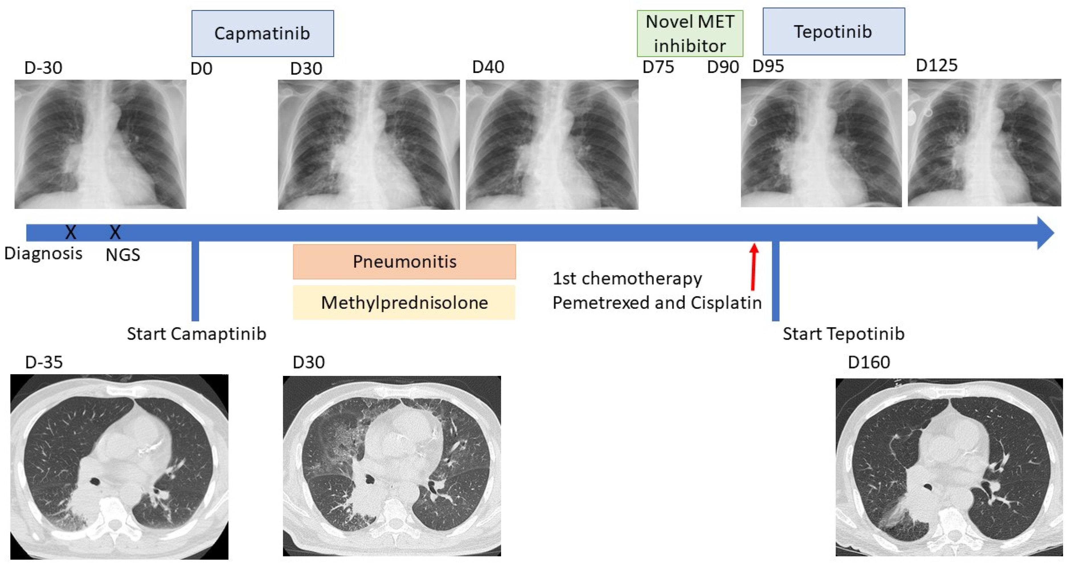 Ijms 23 11809 g001 Ijms 23 11809 g001