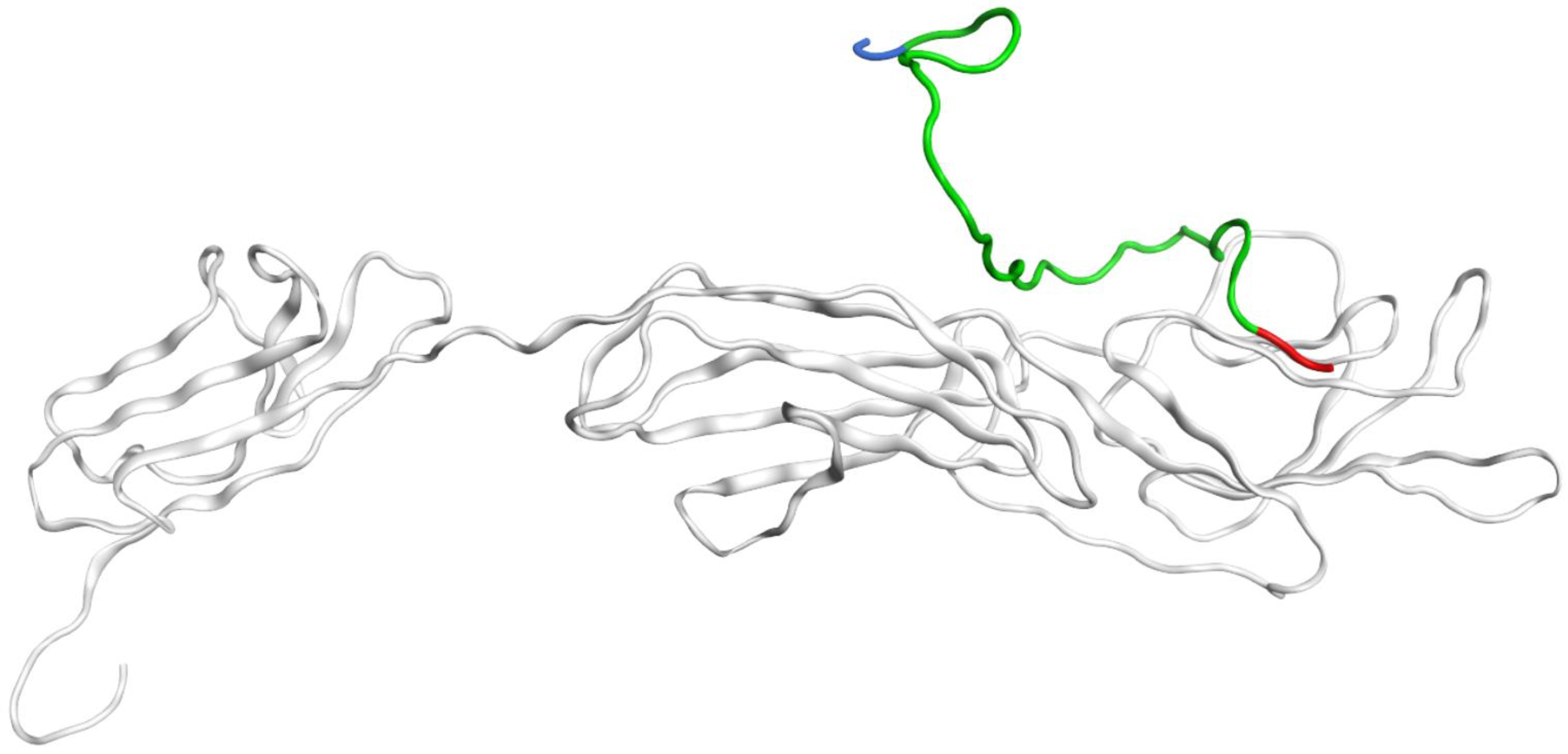 Ijms 23 11816 g004 Ijms 23 11816 g004